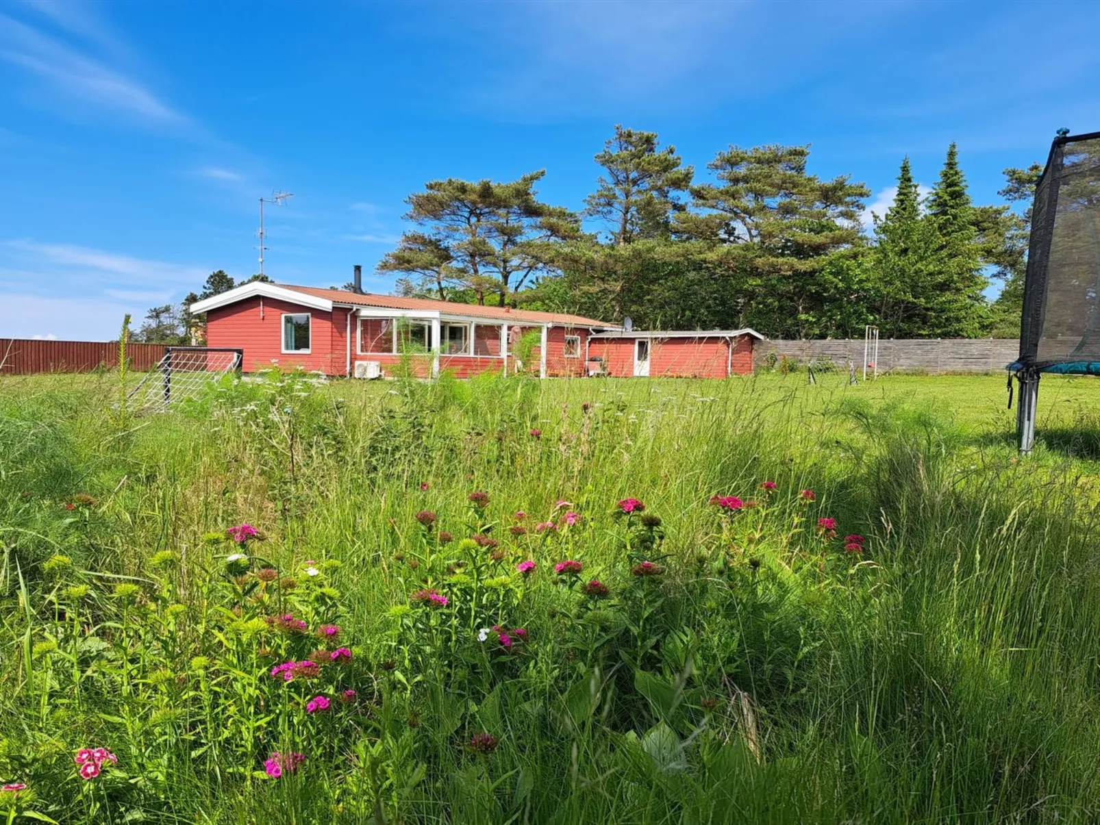 "Torbjörn" - 100m from the sea-Draußen
