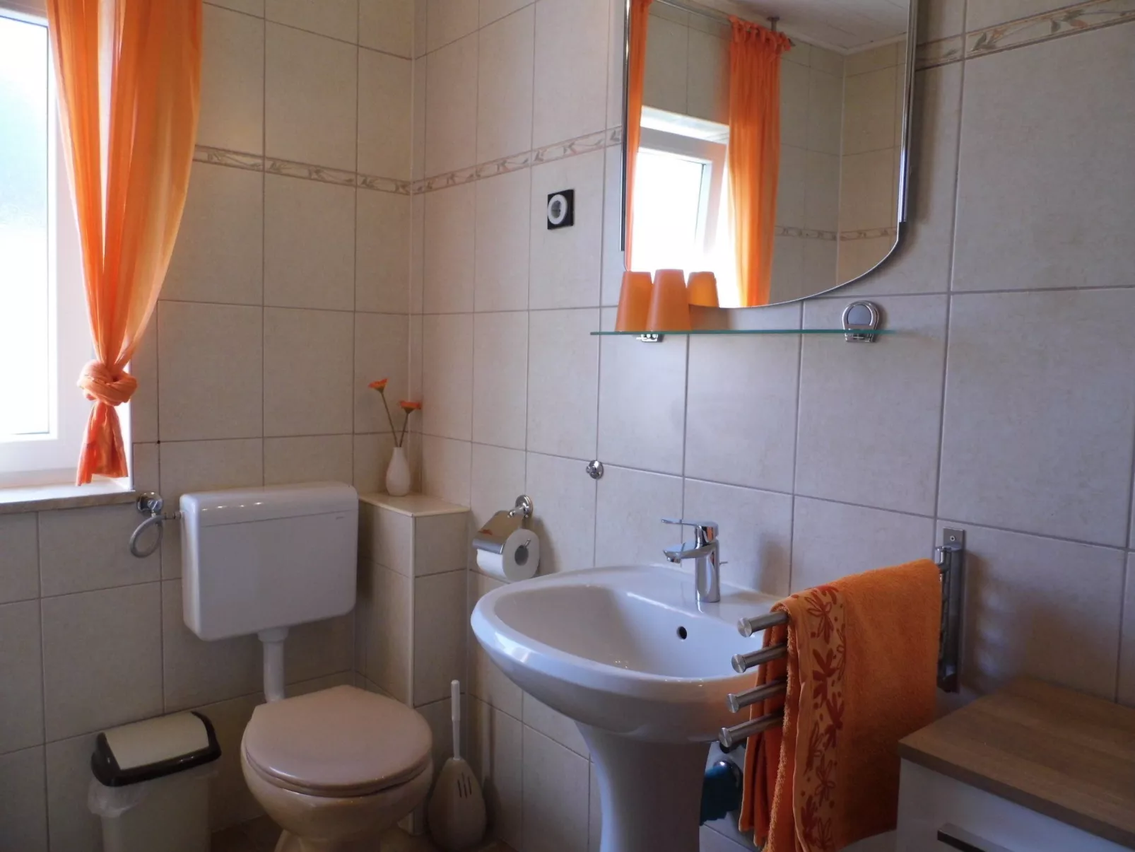 Stanojevic ap. 1-Image-tags.info