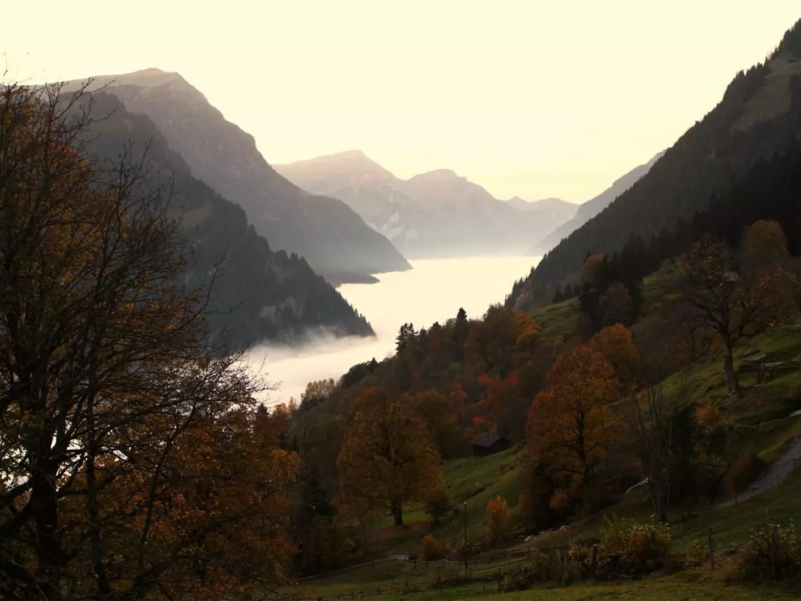 Wohnung West-Outside