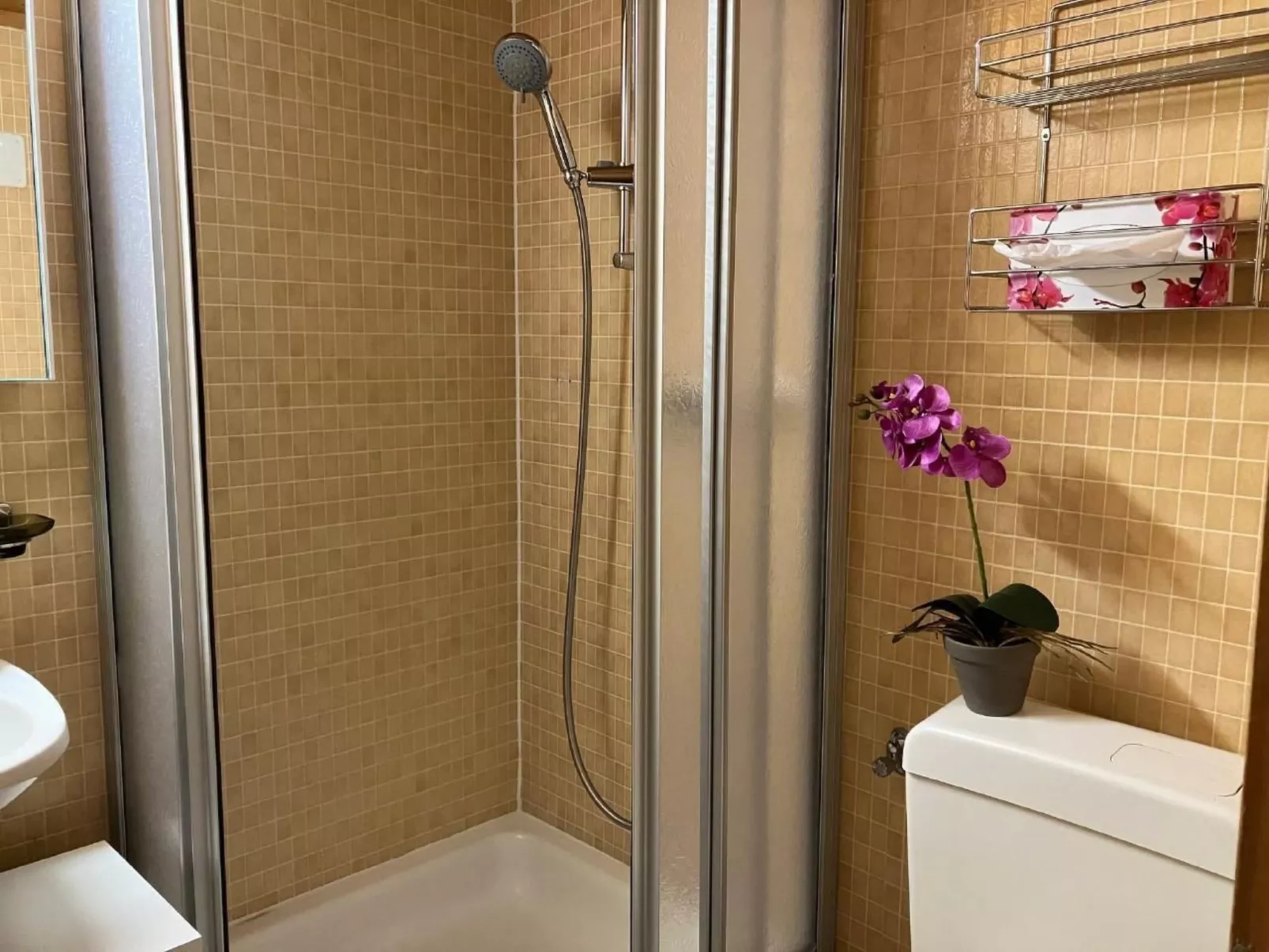 Gemütliches SINGLE-Studio-Inside