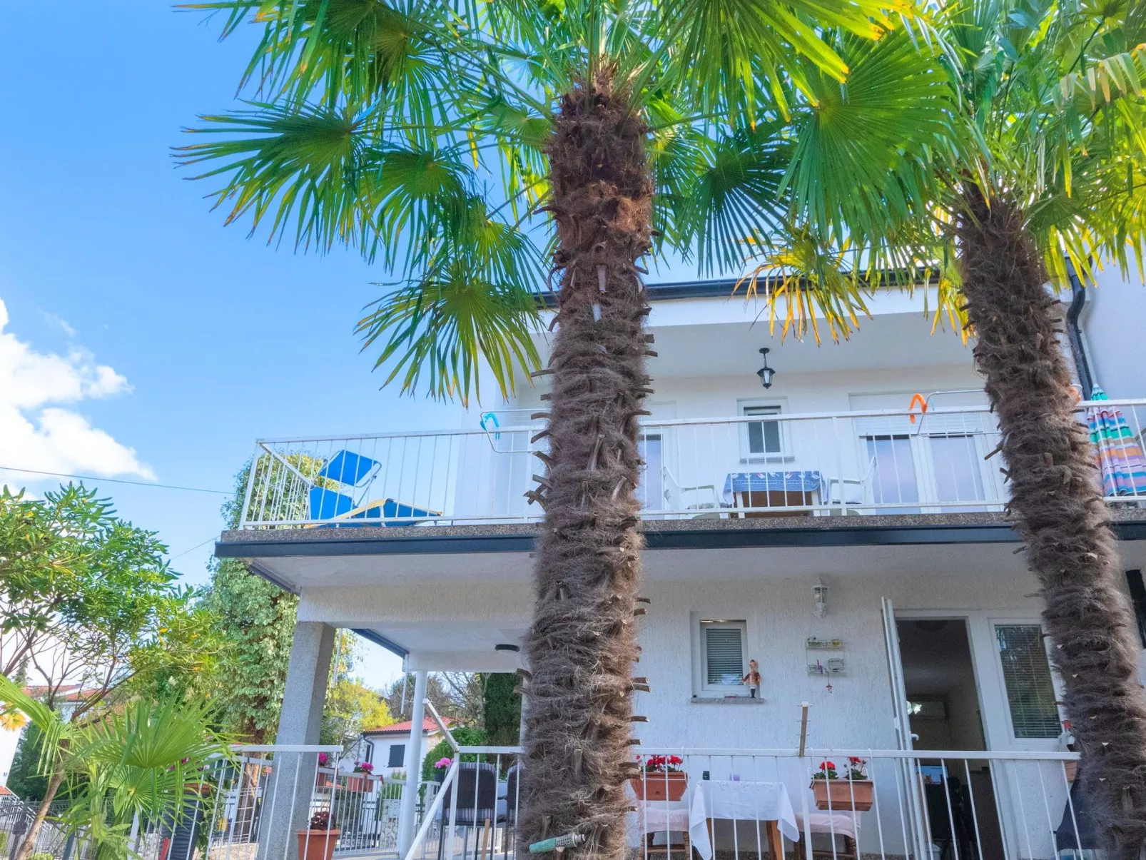 Jasnica-Image-tags.info