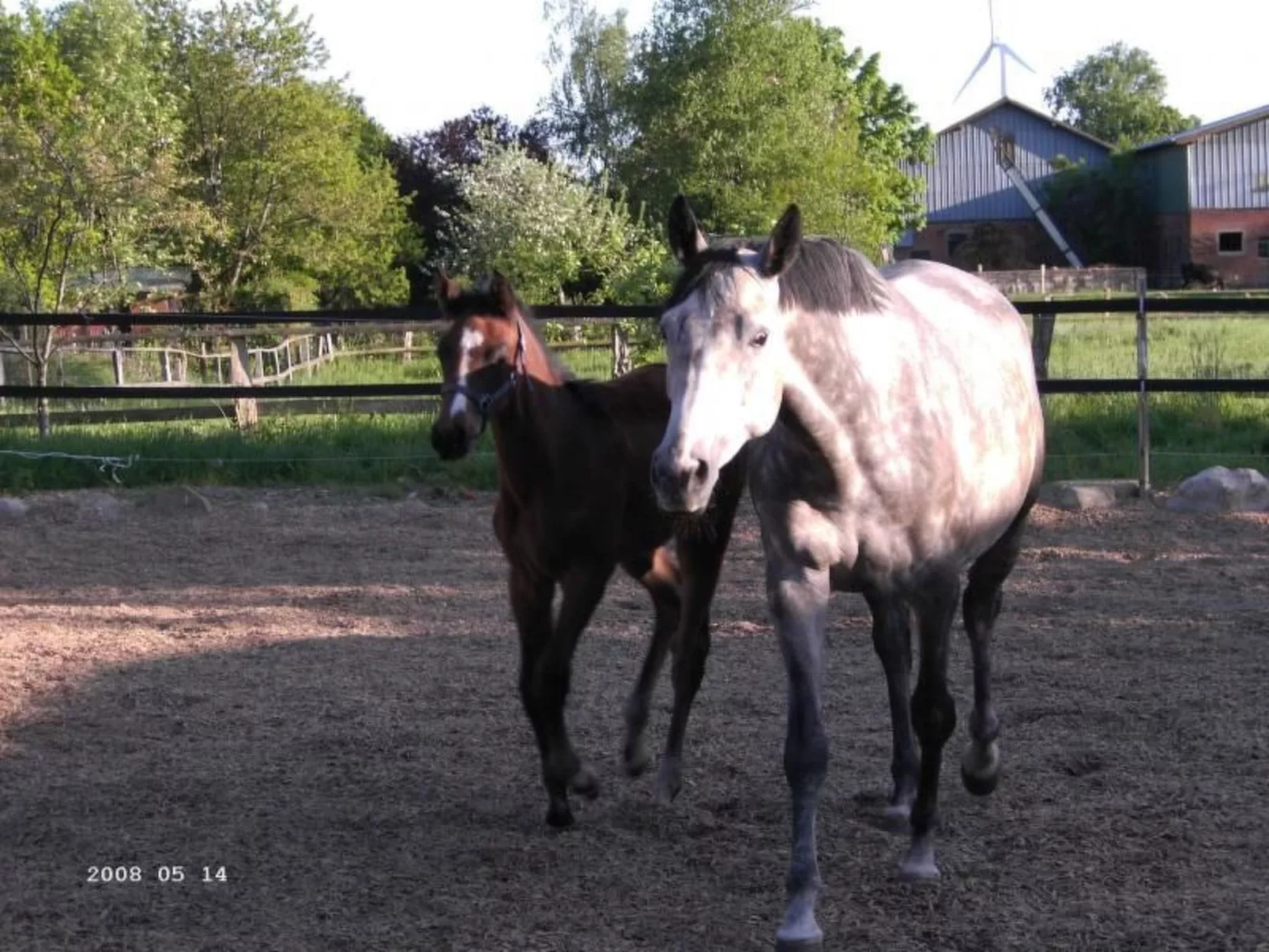 Westrich in guter Ausflugslage-Outside