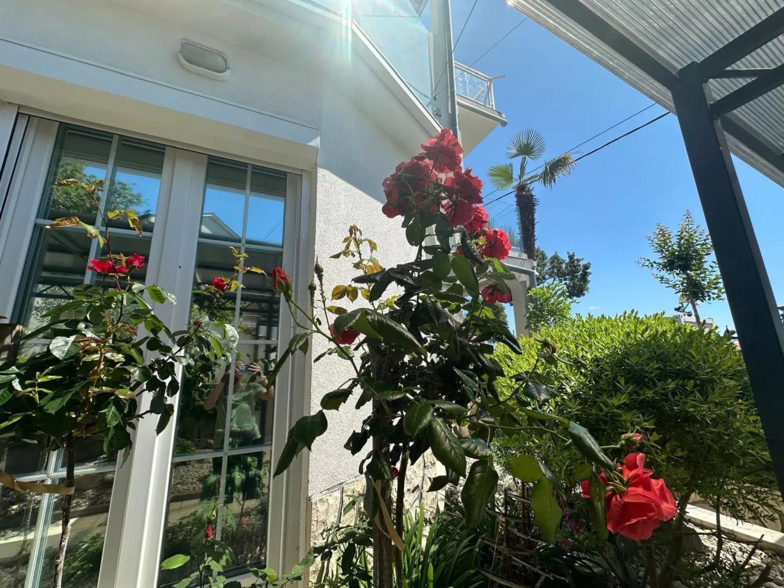 Apartment Toma 2-Image-tags.info