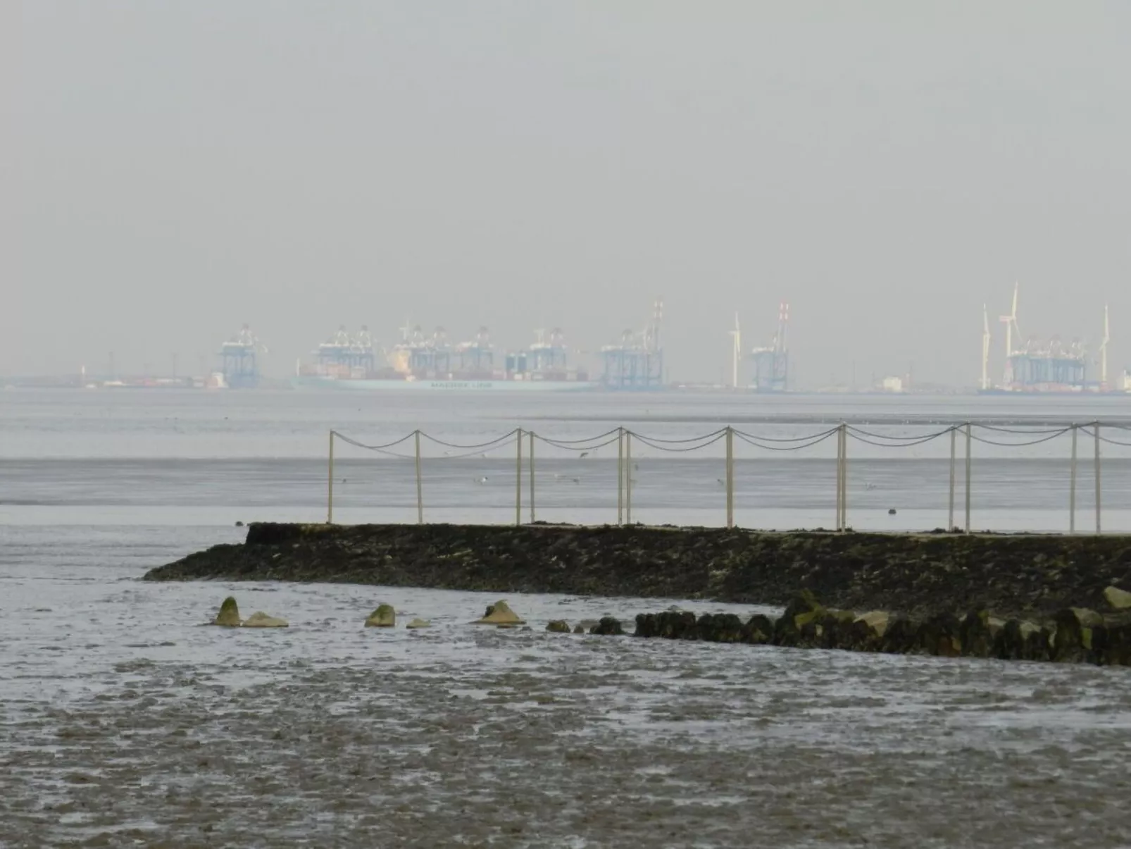 In Burhave mit Großer Terrasse-Outside