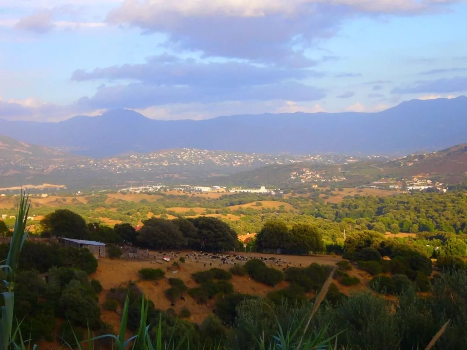 Mit Blick auf das Wasser-Dehors