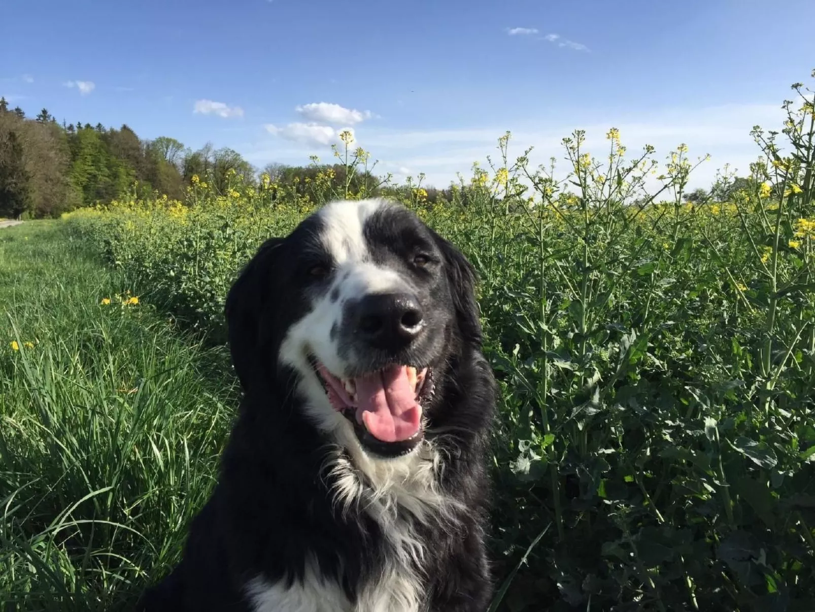 Feierlenhof, 2-Zimmerwohnung Granny, Parterre-Image-tags.info
