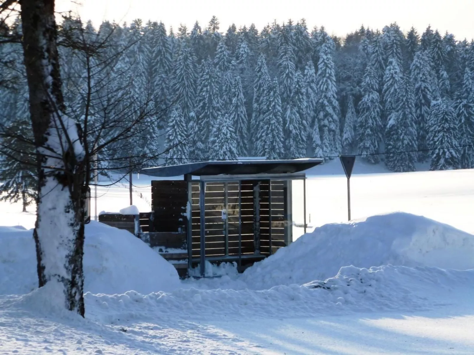Chalet Désir, Lajoux-Draußen