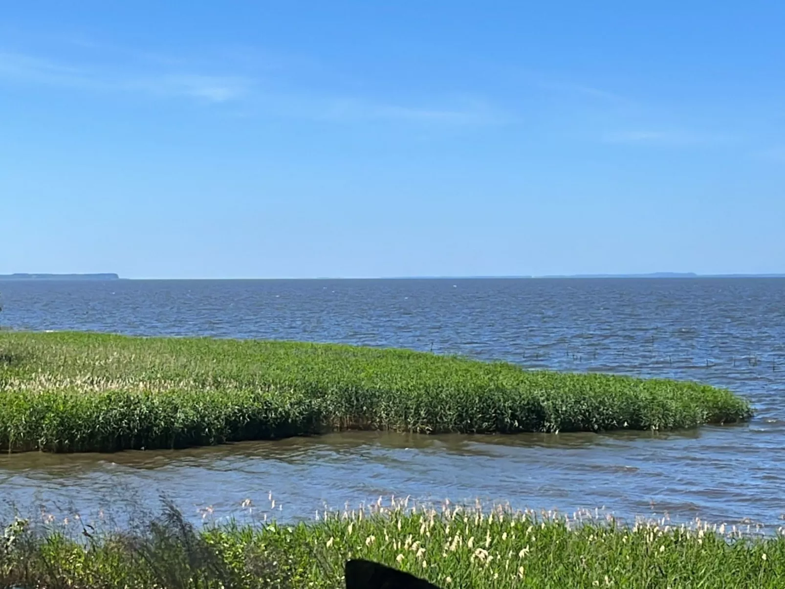 Haus Kranich-Image-tags.info