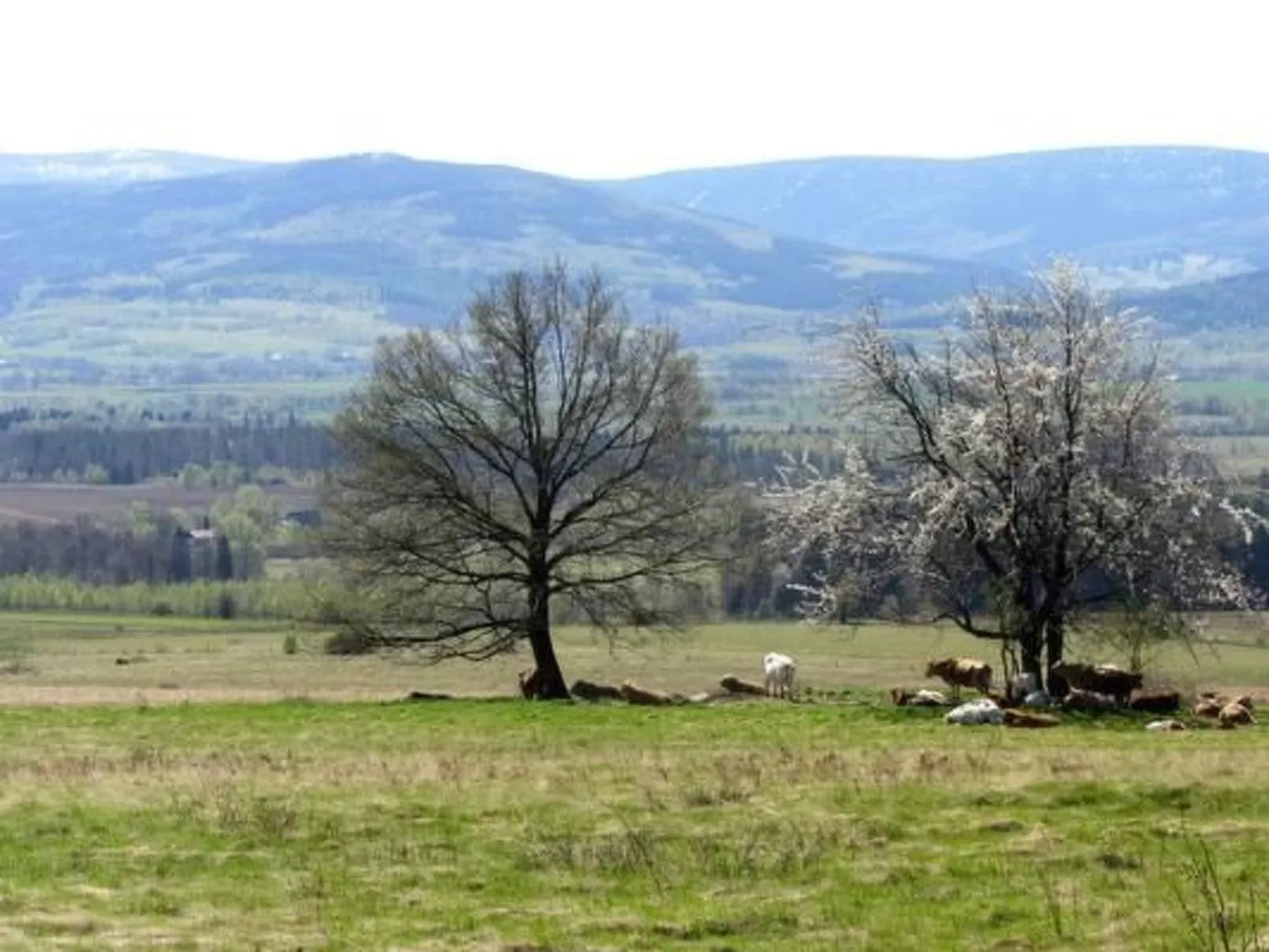 In Gajówka mit Terrasse und Garten-Image-tags.info