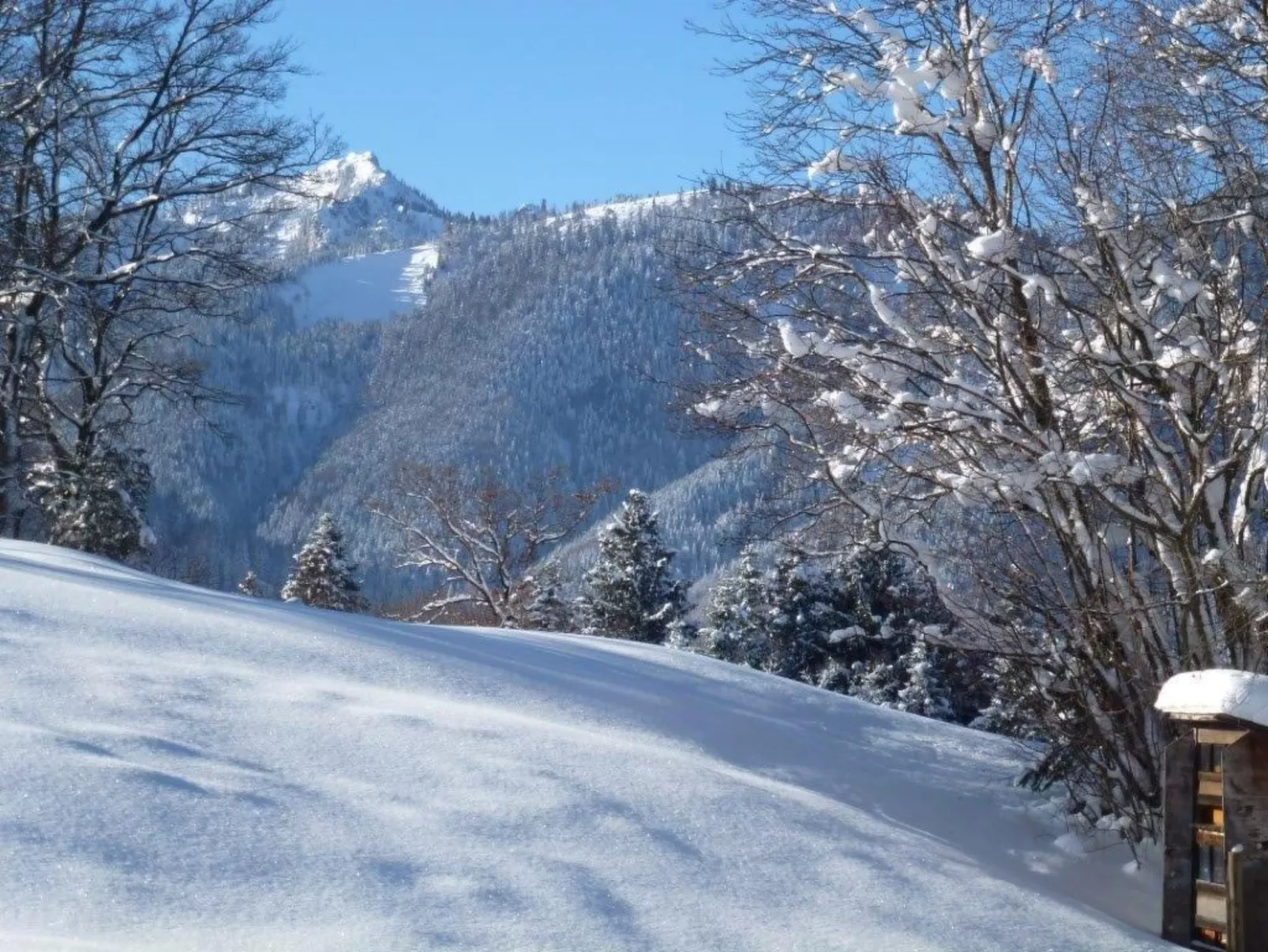 Gemütliche Ferienwohnung in Unterammergau-Dehors
