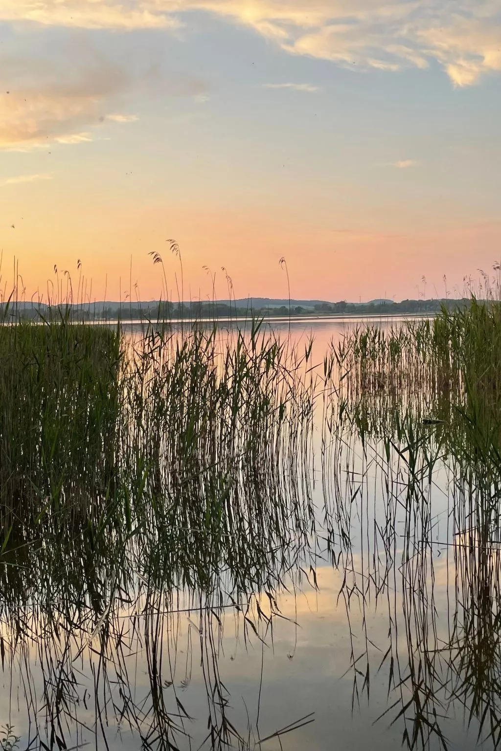 In Dahmen Terrasse und Grill-Draußen