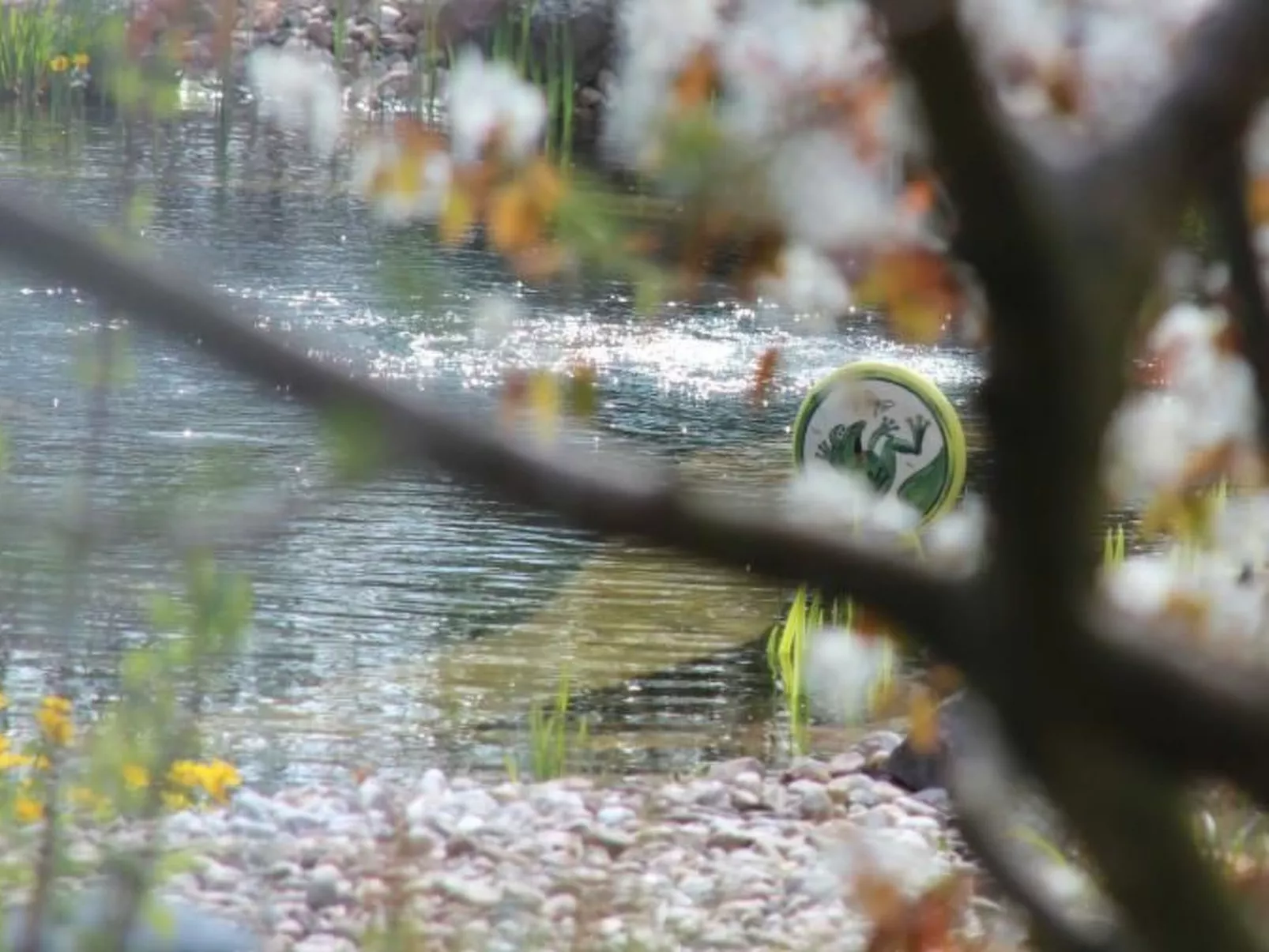 Appartement mit Terrasse-Outside