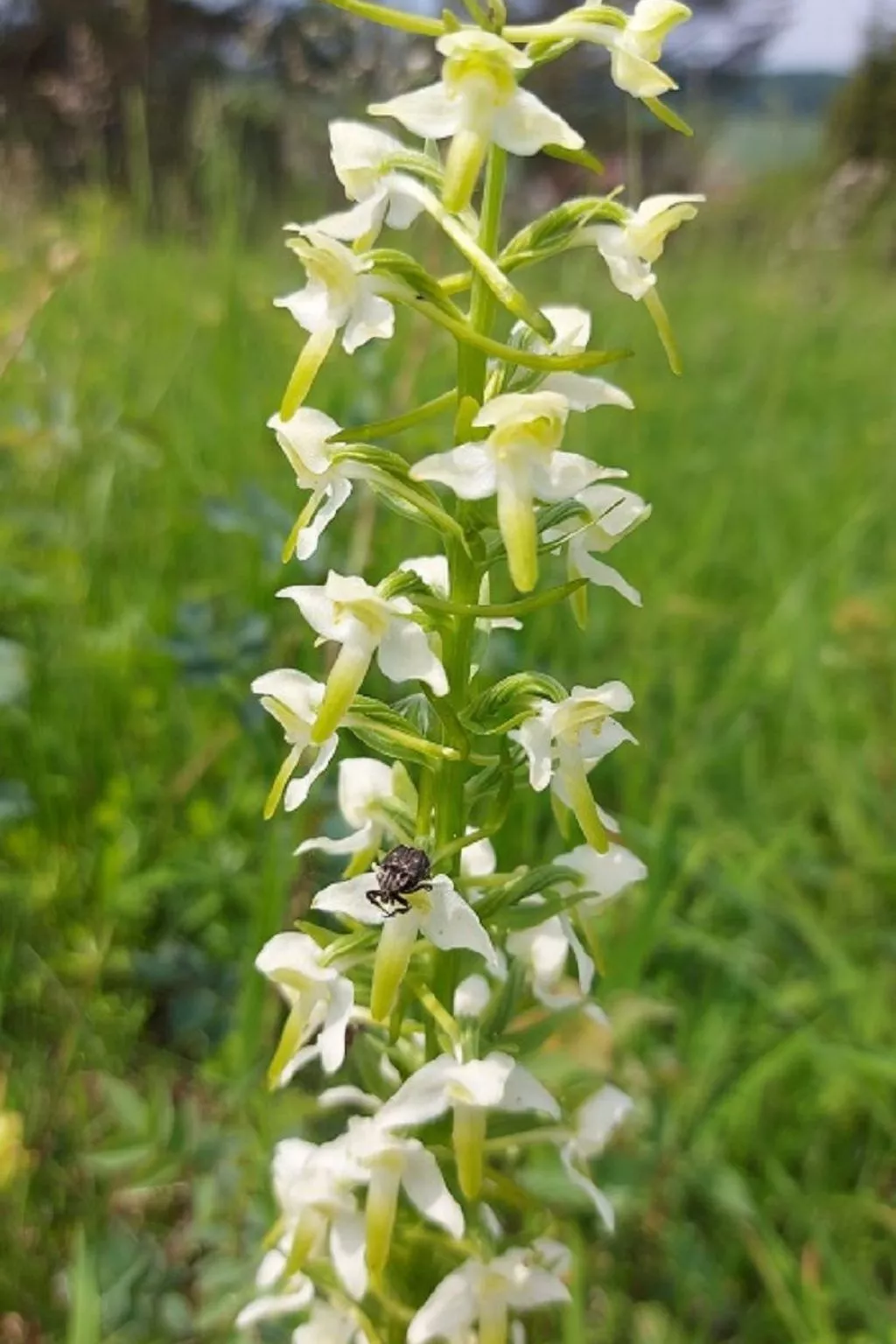 Stadt Apartement-Image-tags.info