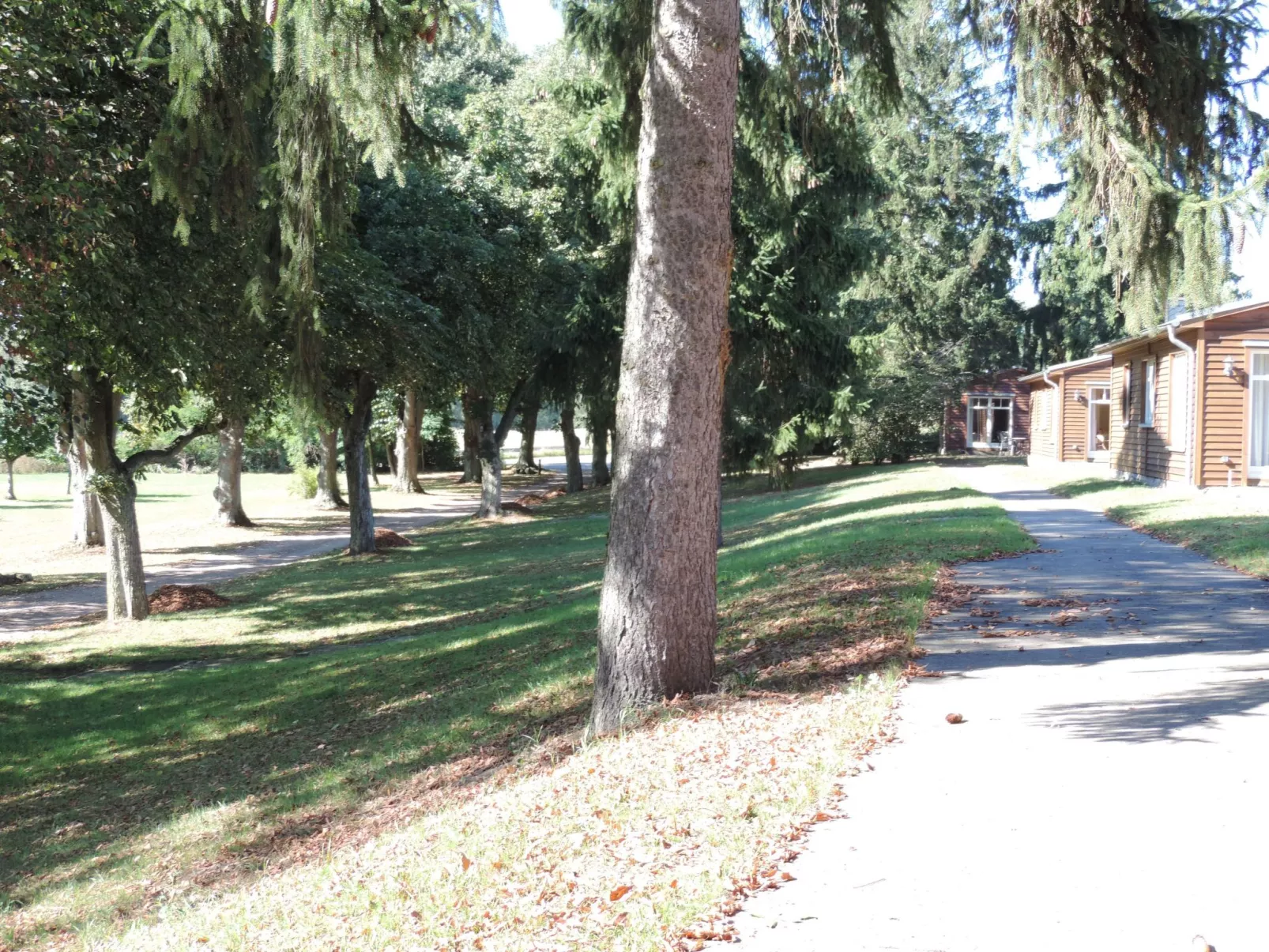 In Göhren mit Eigener Terrasse-Dehors