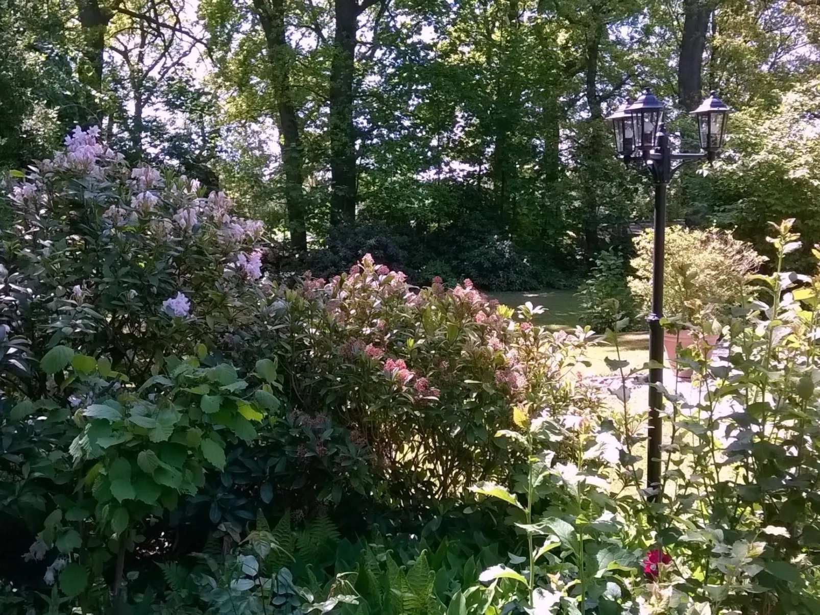 Zentrale Ferienwohnung mit Terrasse - Image-tags.info