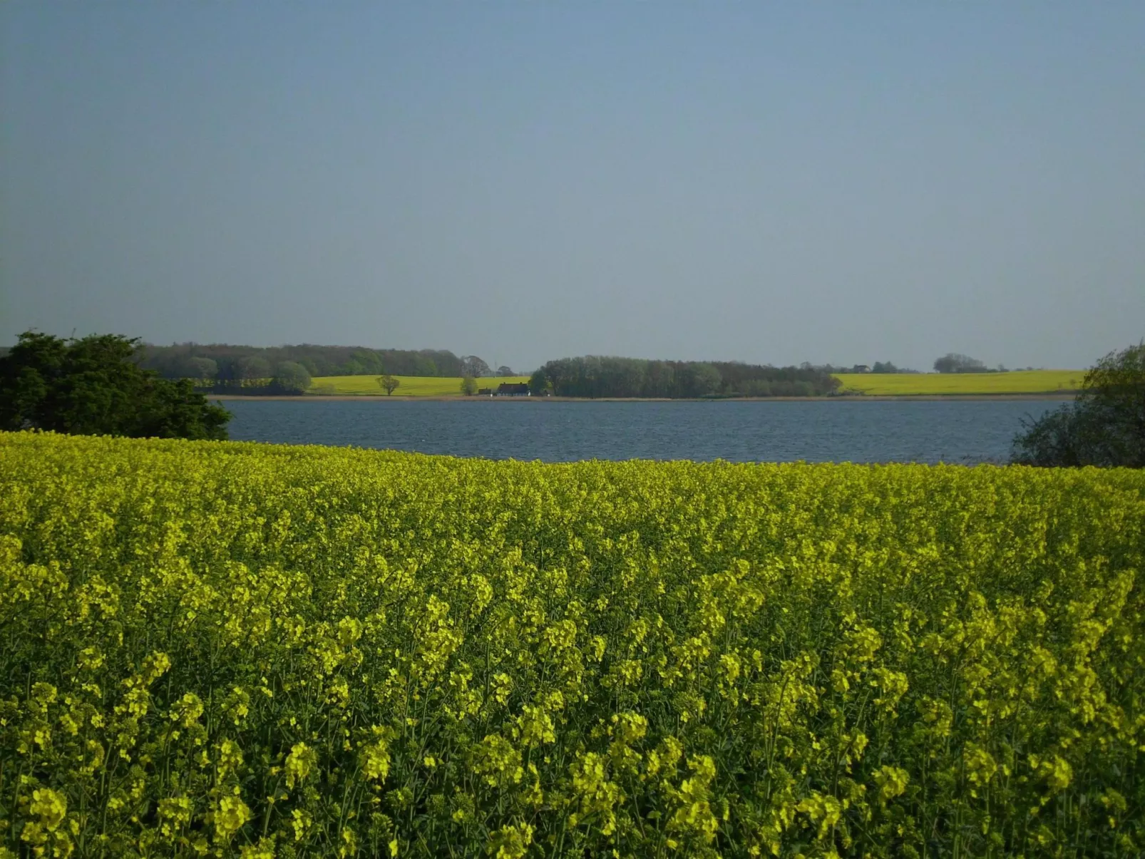 Haus in Zimmert mit Terrasse, Grill und Garten-Outside