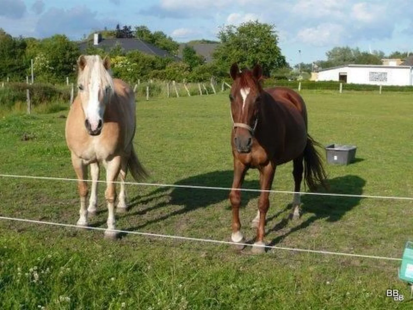 Toms Hütte in Bohmstedt-Outside