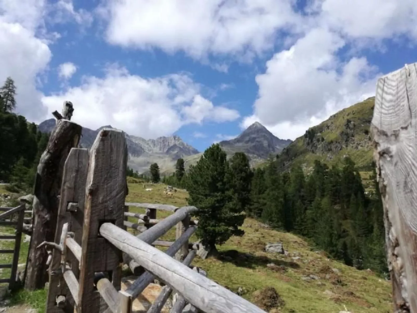 Charmantes Ferienhaus mit Whirlpool-Draußen