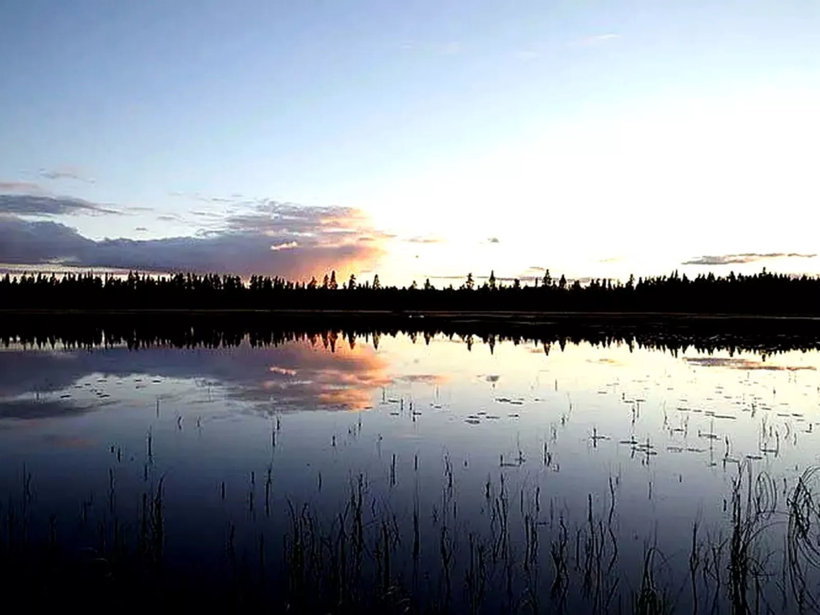 Am Wald mit Kaminofen und Veranda-Draußen