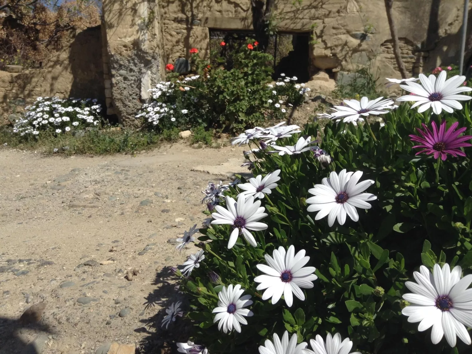 Gästehaus Gonia-Outside