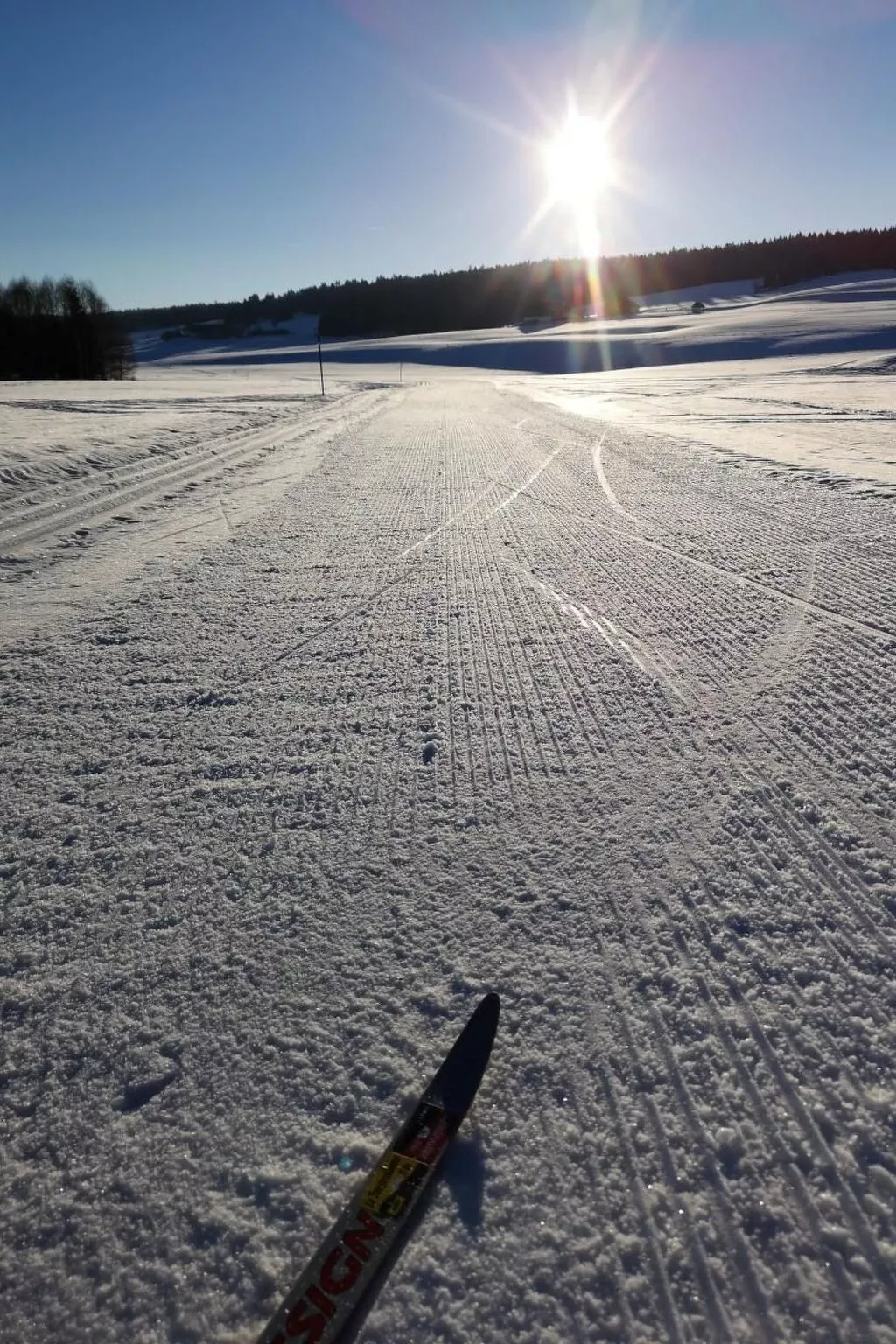 Wohnung in altem, renoviertem Bauernhaus-Draußen
