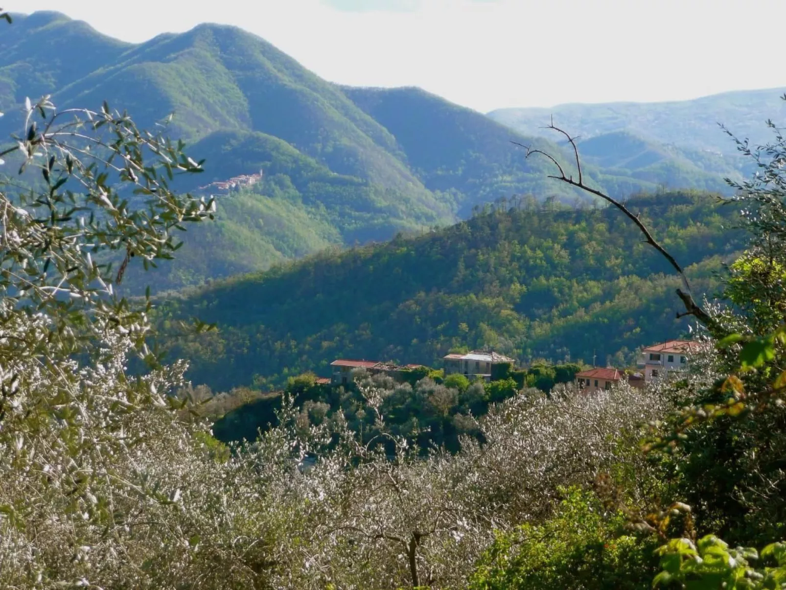 CASA SISSI, Sehnsuchtsort zwischen Olivenhainen-Outside