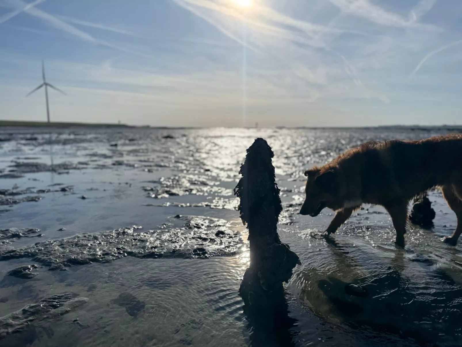 Einzigartiger Aufenthalt "The Moggershil" auf dem Bauernhof-Outside