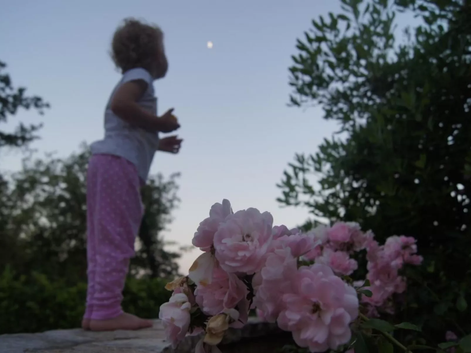 In Karigador mit Terrasse, Whirlpool und Garten-Dehors