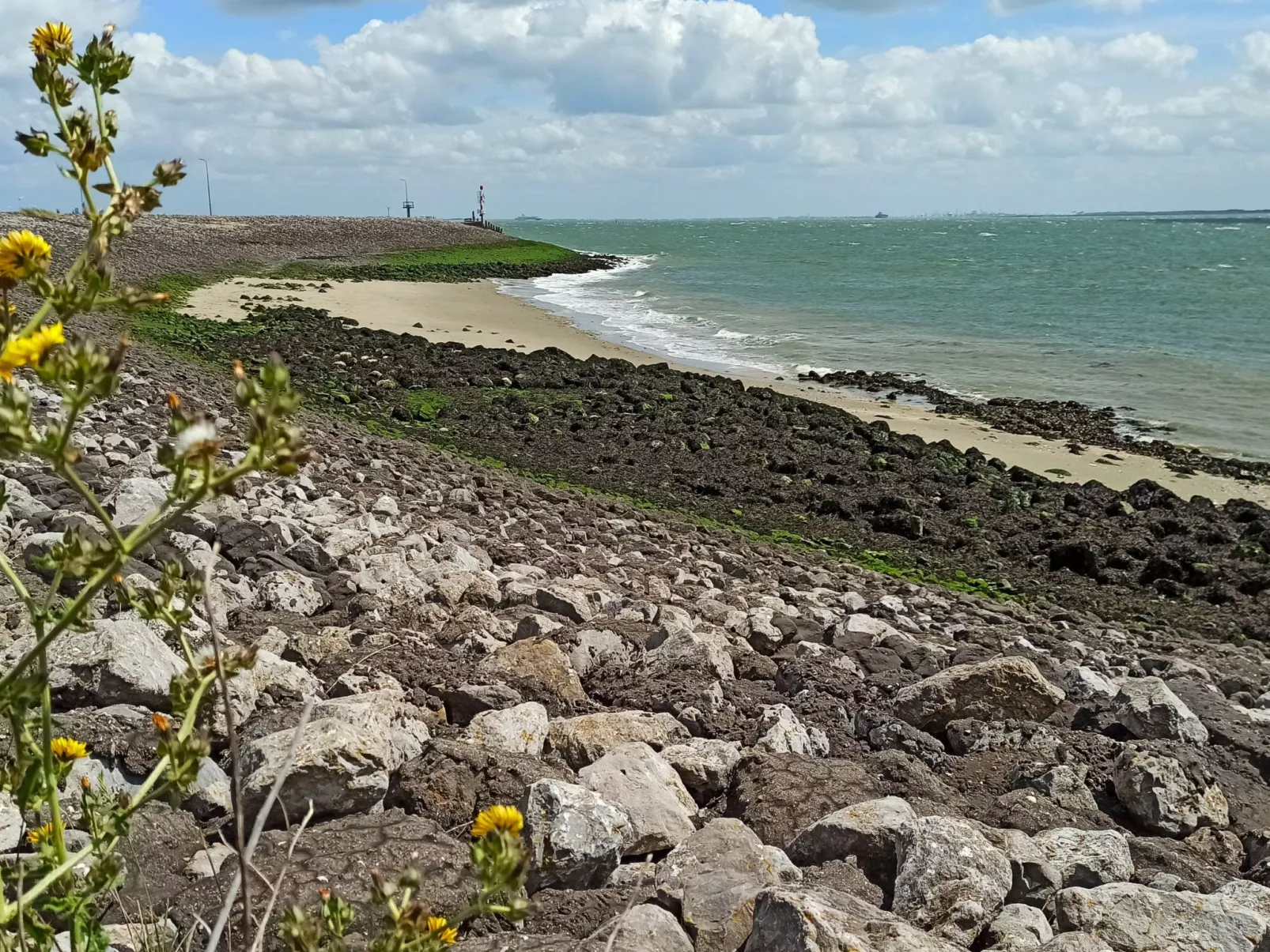 Appartement "Frühstück bei Carins"-Outside
