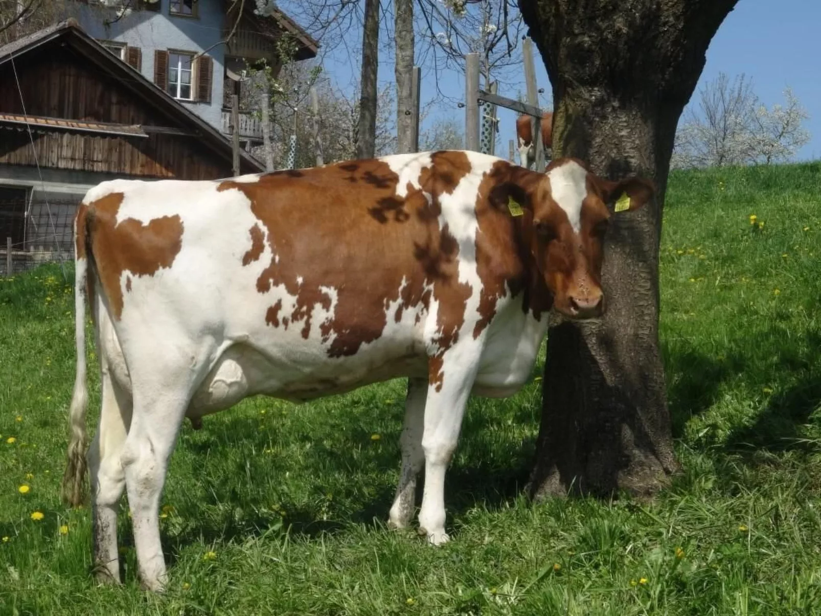 Hof Schürweid - Outside