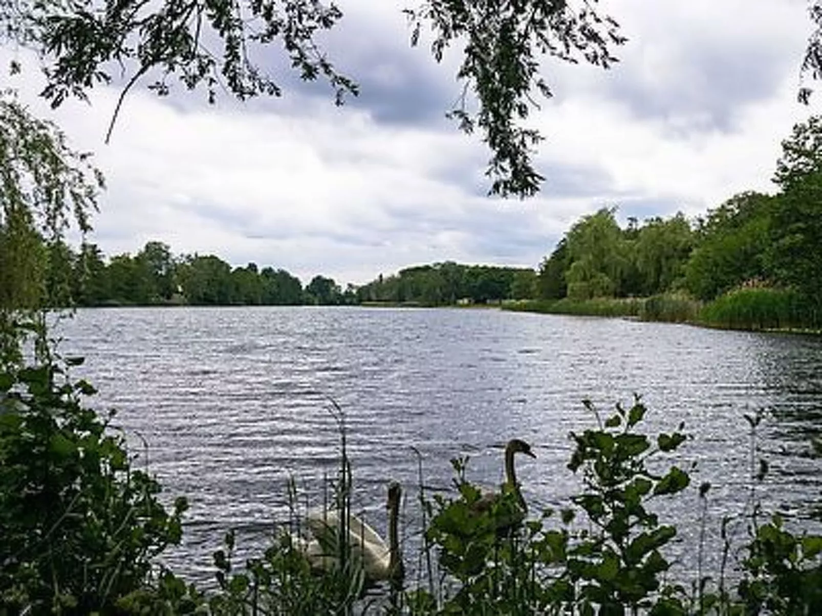 Henriette - Image-tags.info