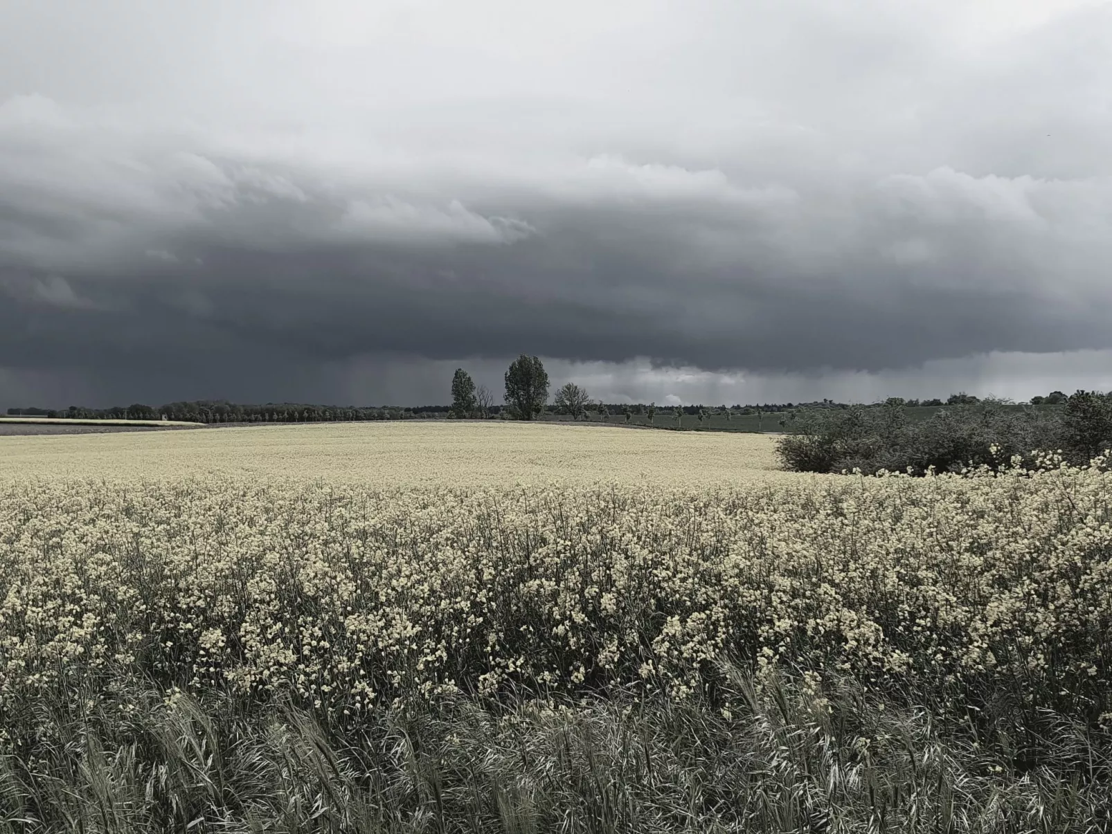 Landhaus Müritzliebe-Draußen