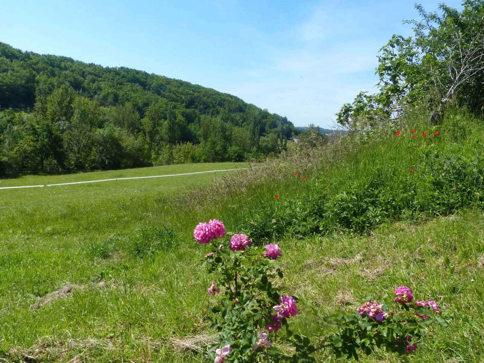 La Ferme des Paons-Outside
