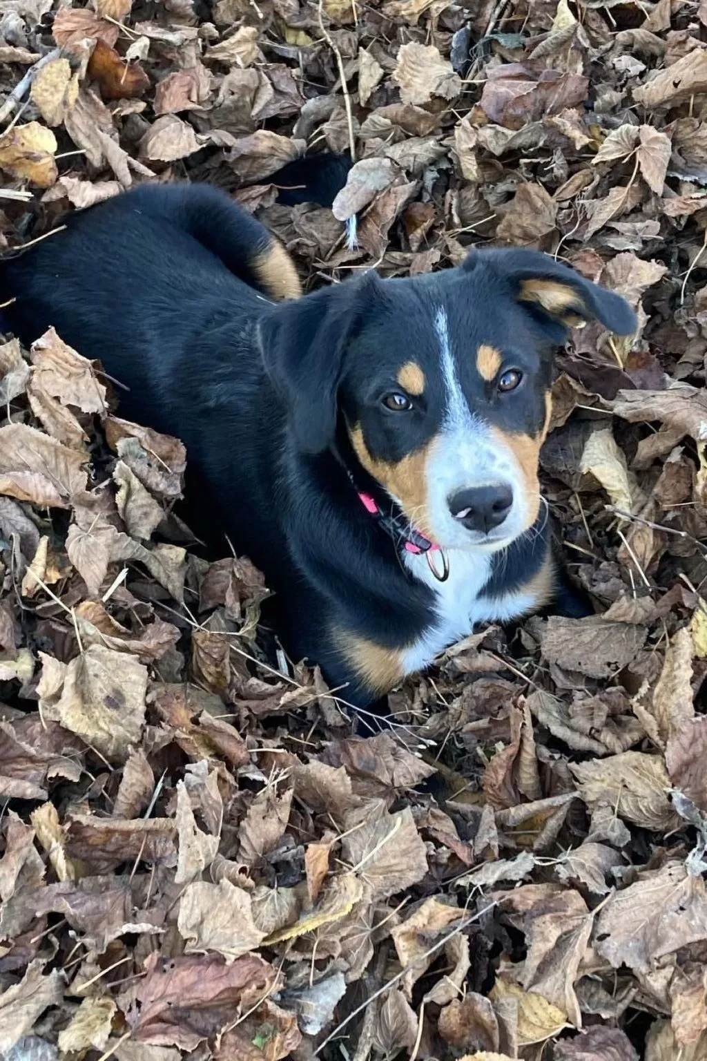 Wohnung "Rustique"-Draußen
