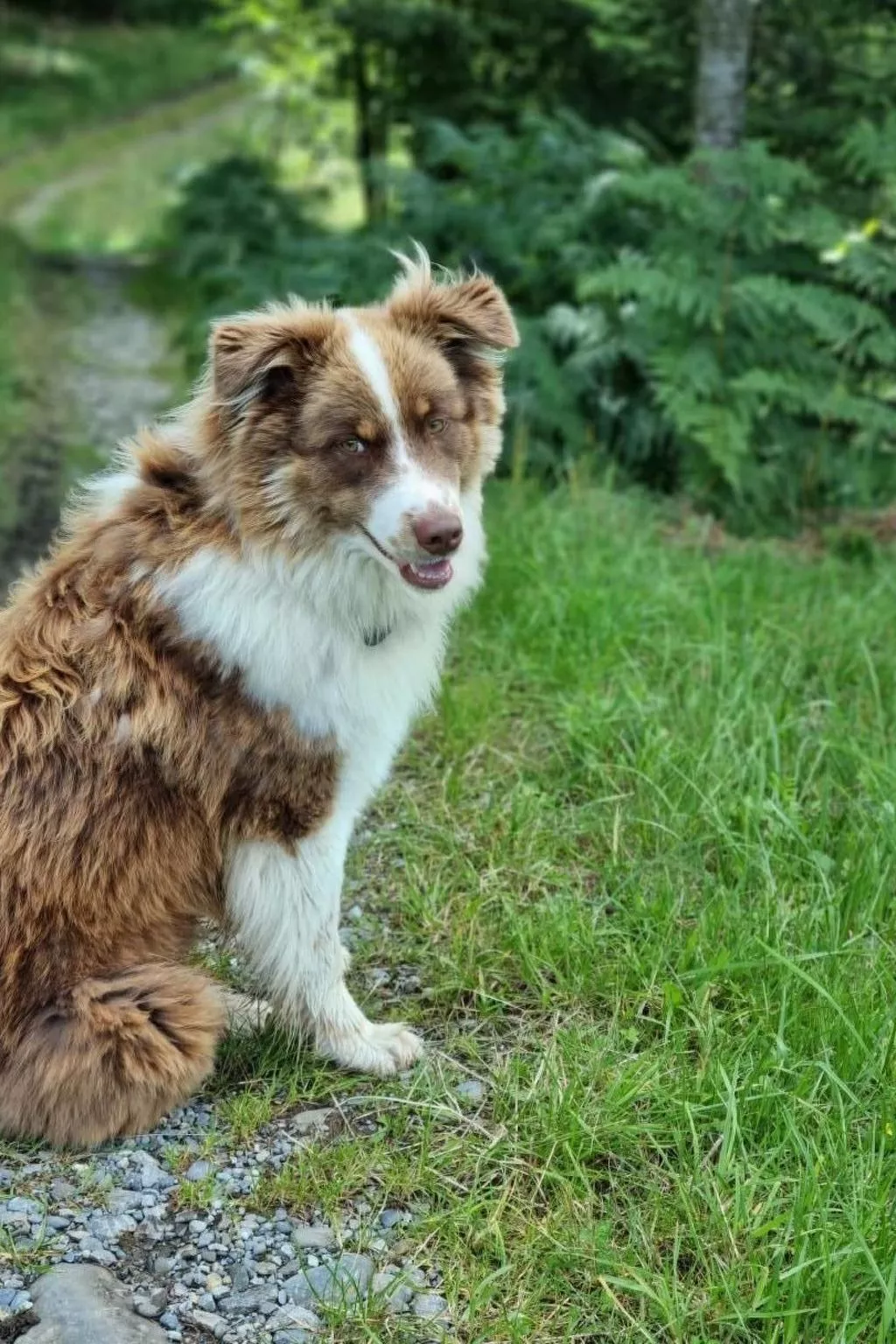 Bio-Hof Brudersrüti-Draußen