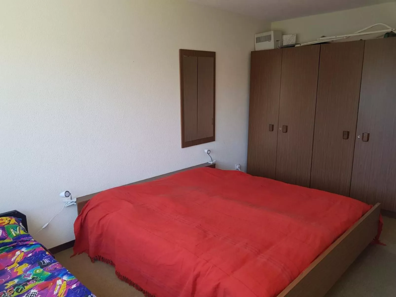 Steinadler-Image-tags.info