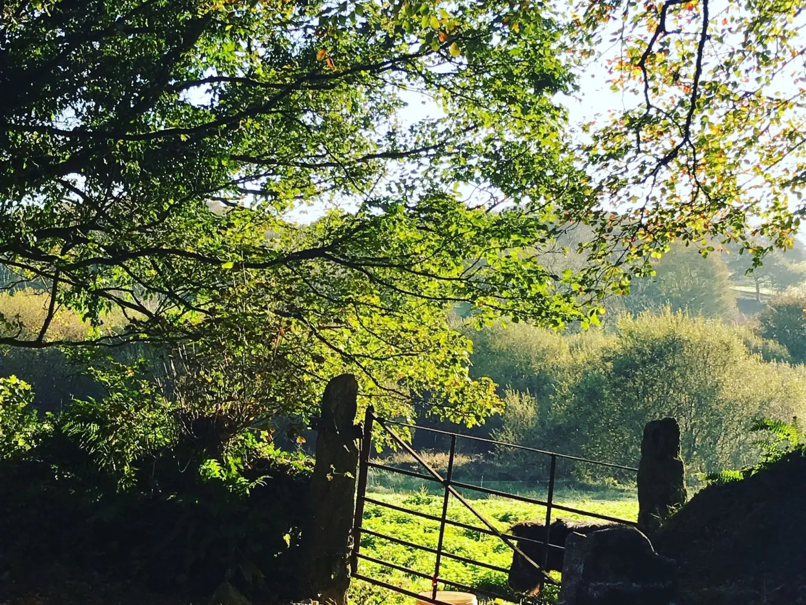 Idyllisches Landhaus mit wunderschönem Garten-Draußen