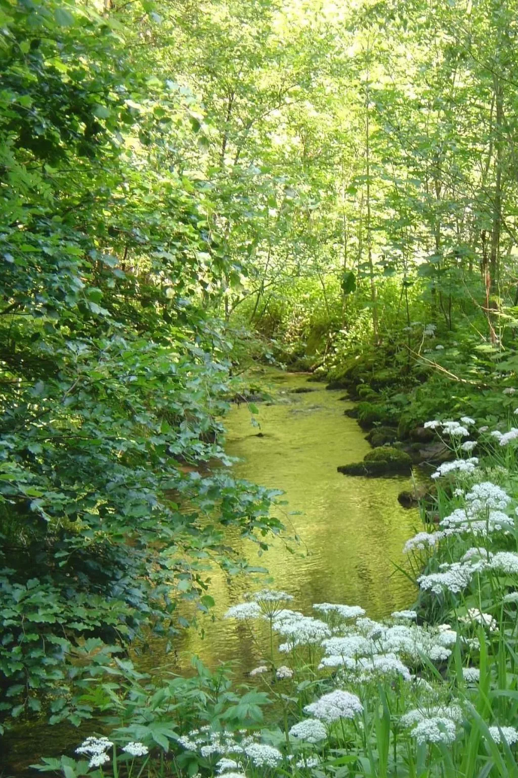 Fewo Altes Schulhaus-Dehors