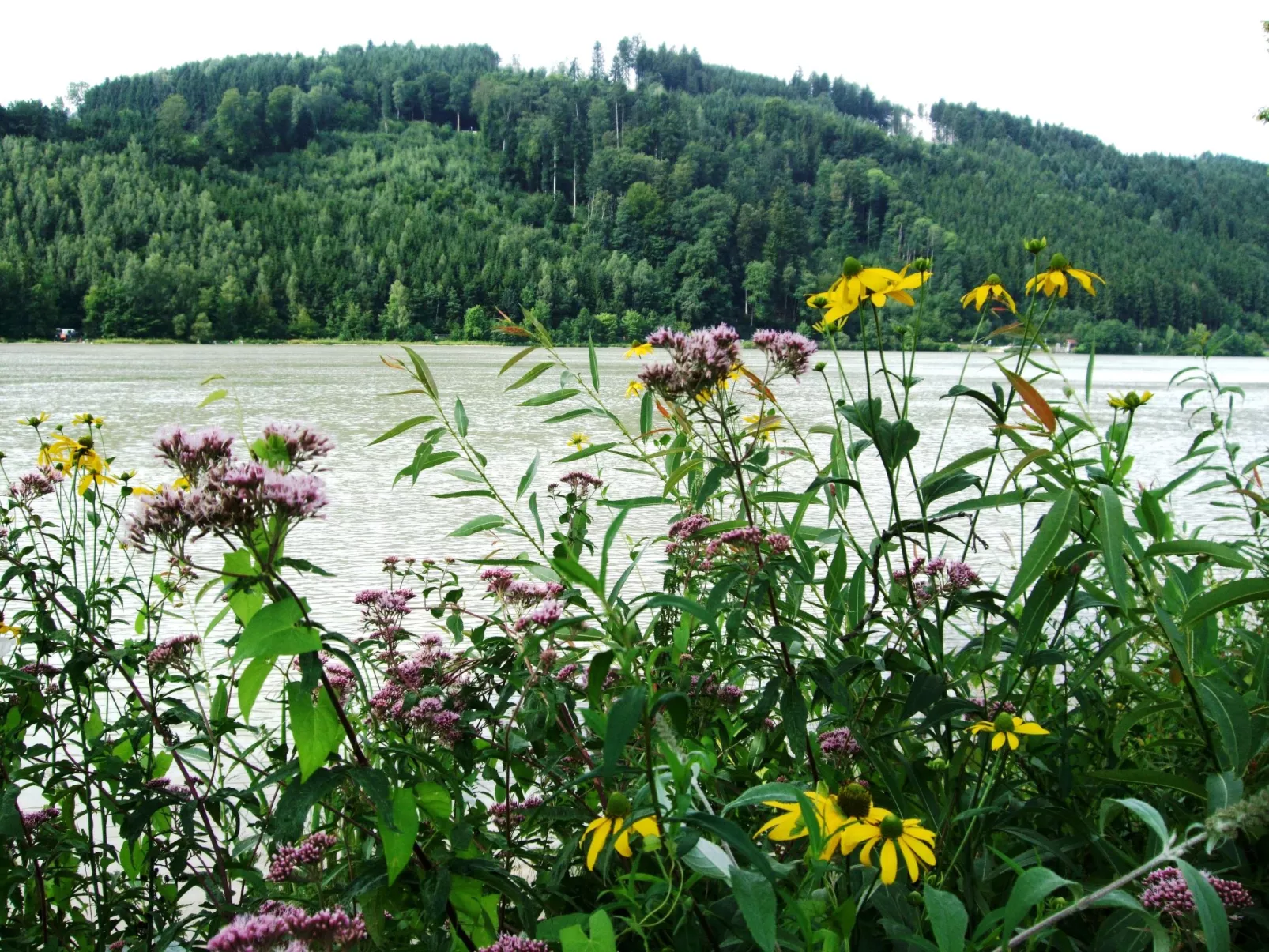 Örtl in Obernzell-Draußen