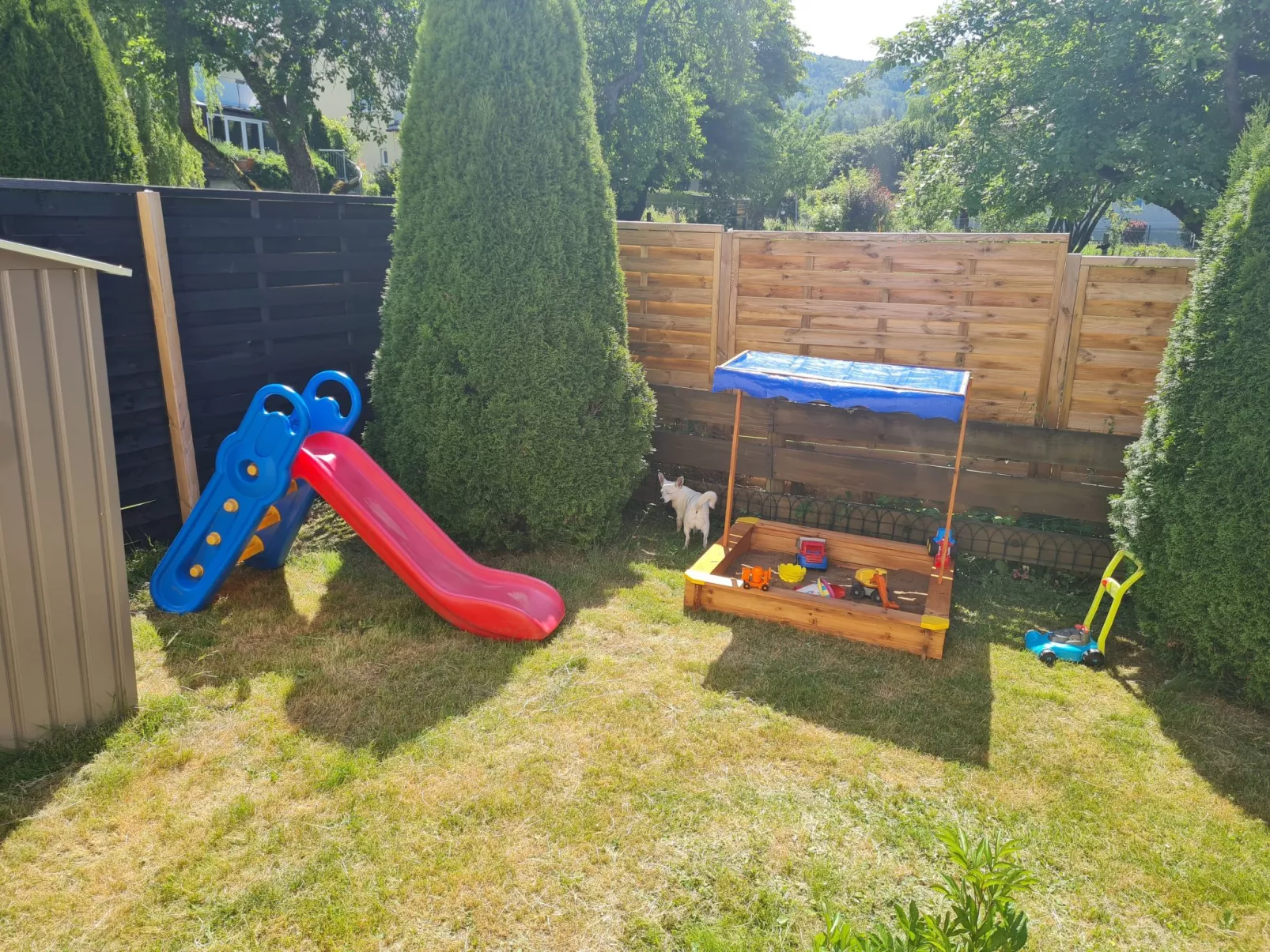 Lusen-Image-tags.info