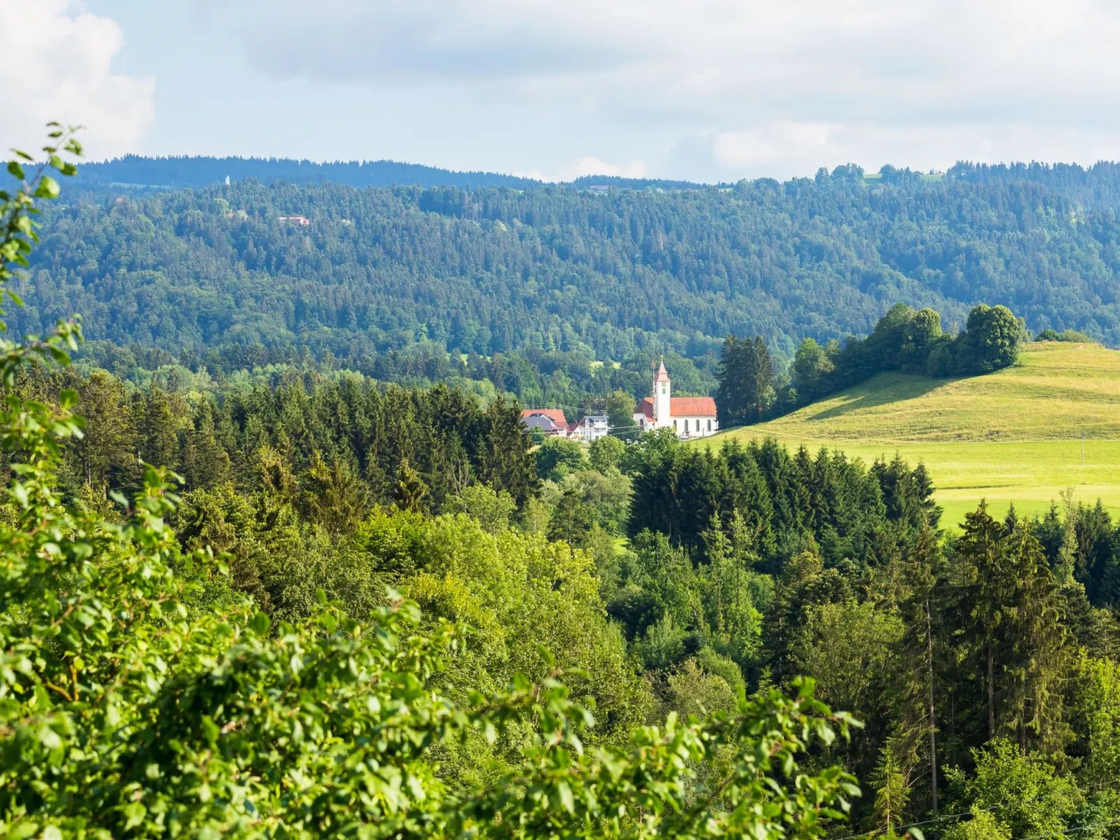 "Obstwiese"-Image-tags.info