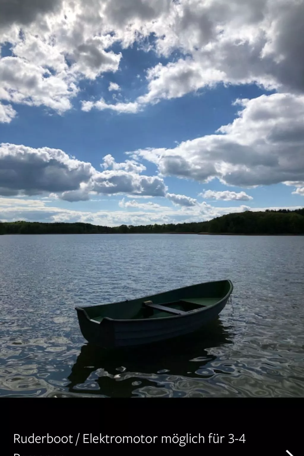 Reetdach Ferienhaus am Lübbesee Sauna Bootsteg neu-Outside