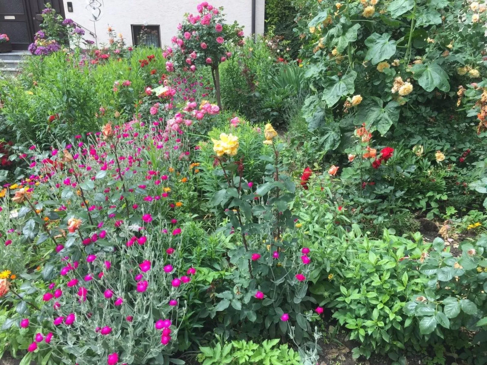 Große Ferienwohnung in Gosberg mit Terrasse, Garten und Grill-Image-tags.info