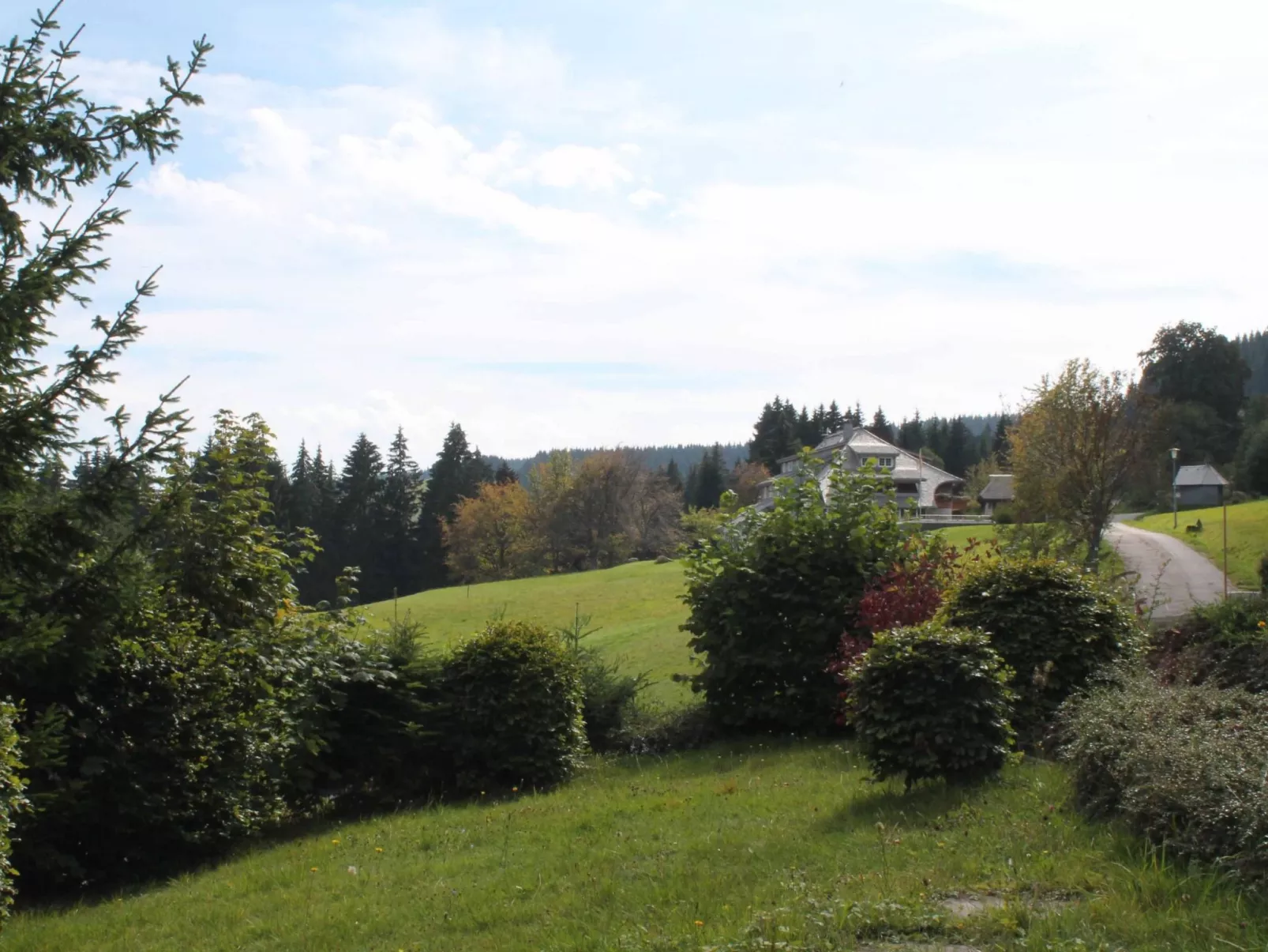 Carola-Image-tags.info