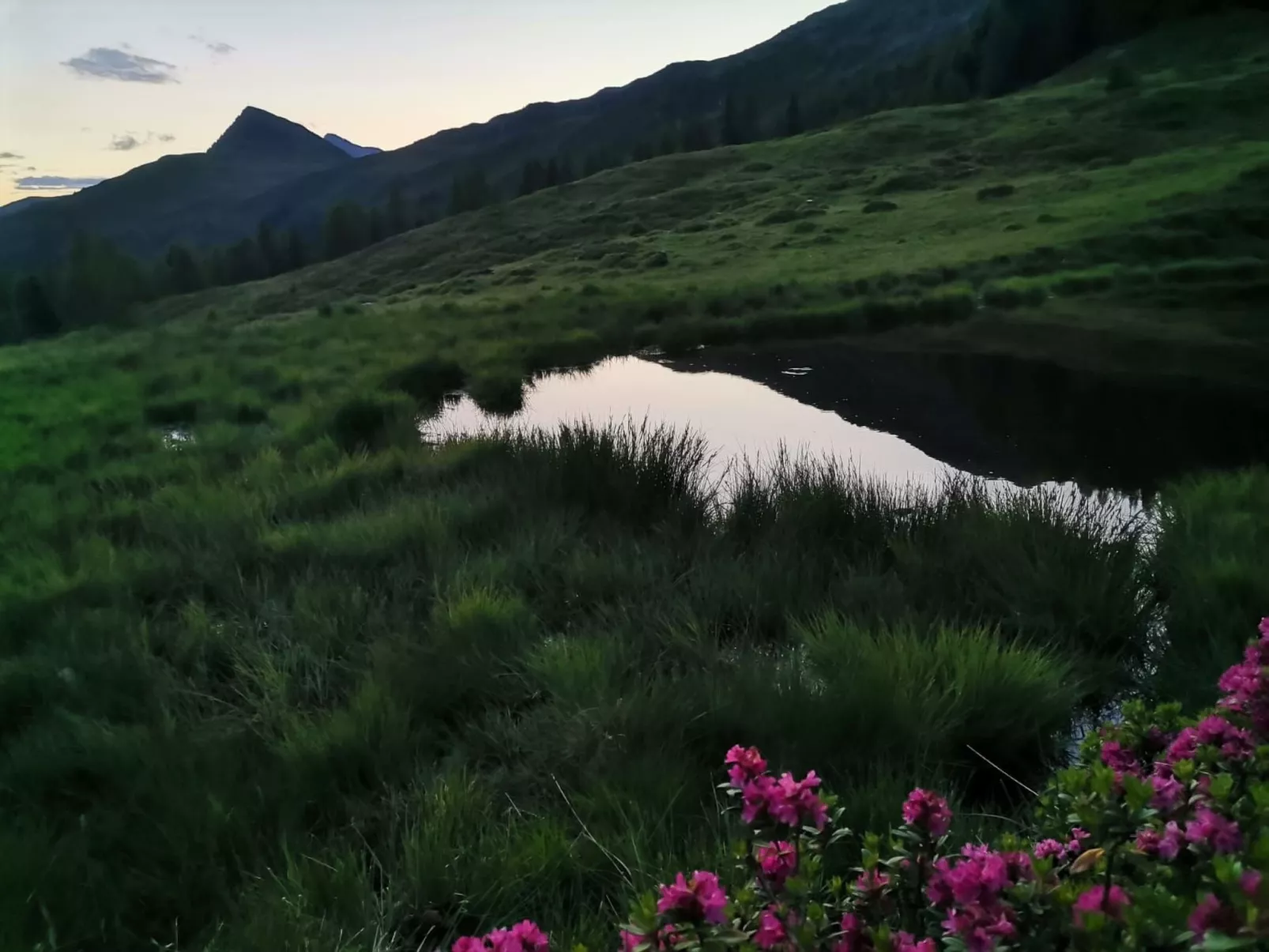 Waldpension Ranner-Draußen