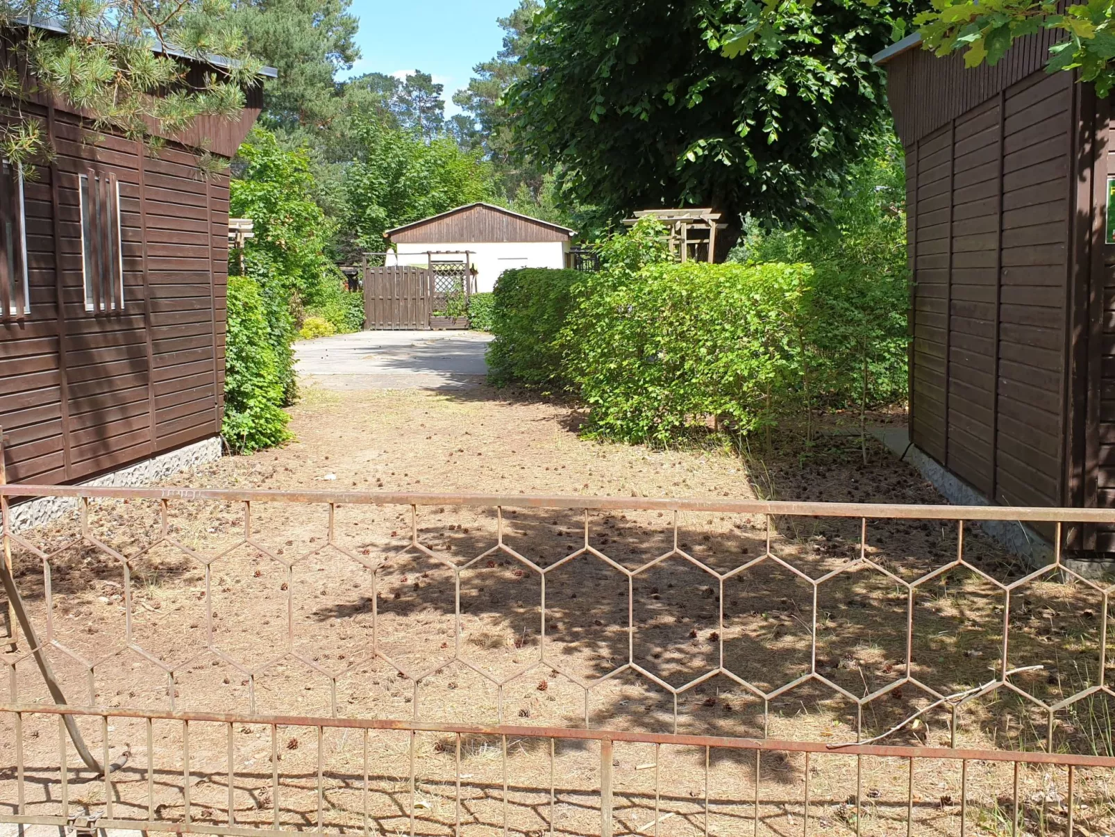Holz-Bungalow mit Terrasse - Draußen