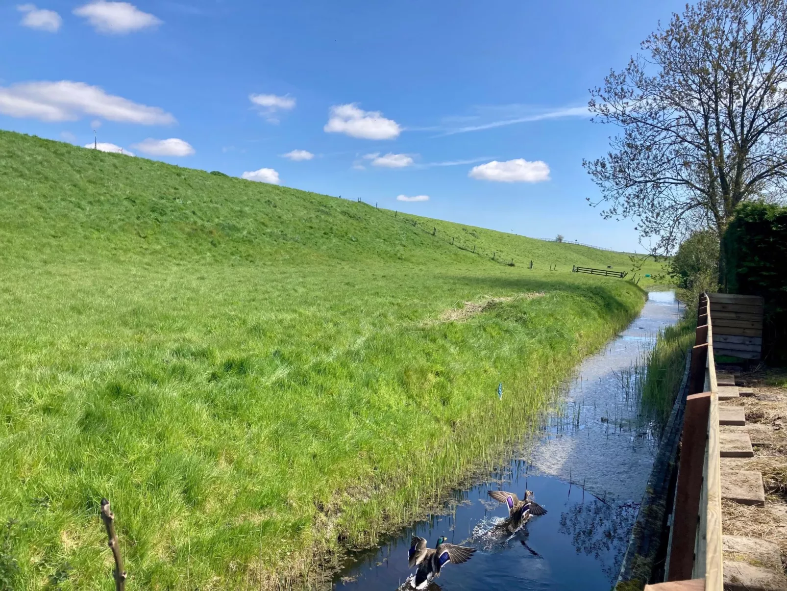 157 Am Deich-Draußen