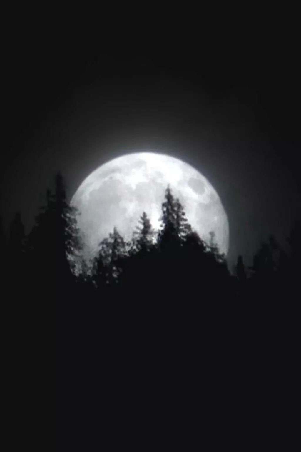 Nägeliboden-Outside