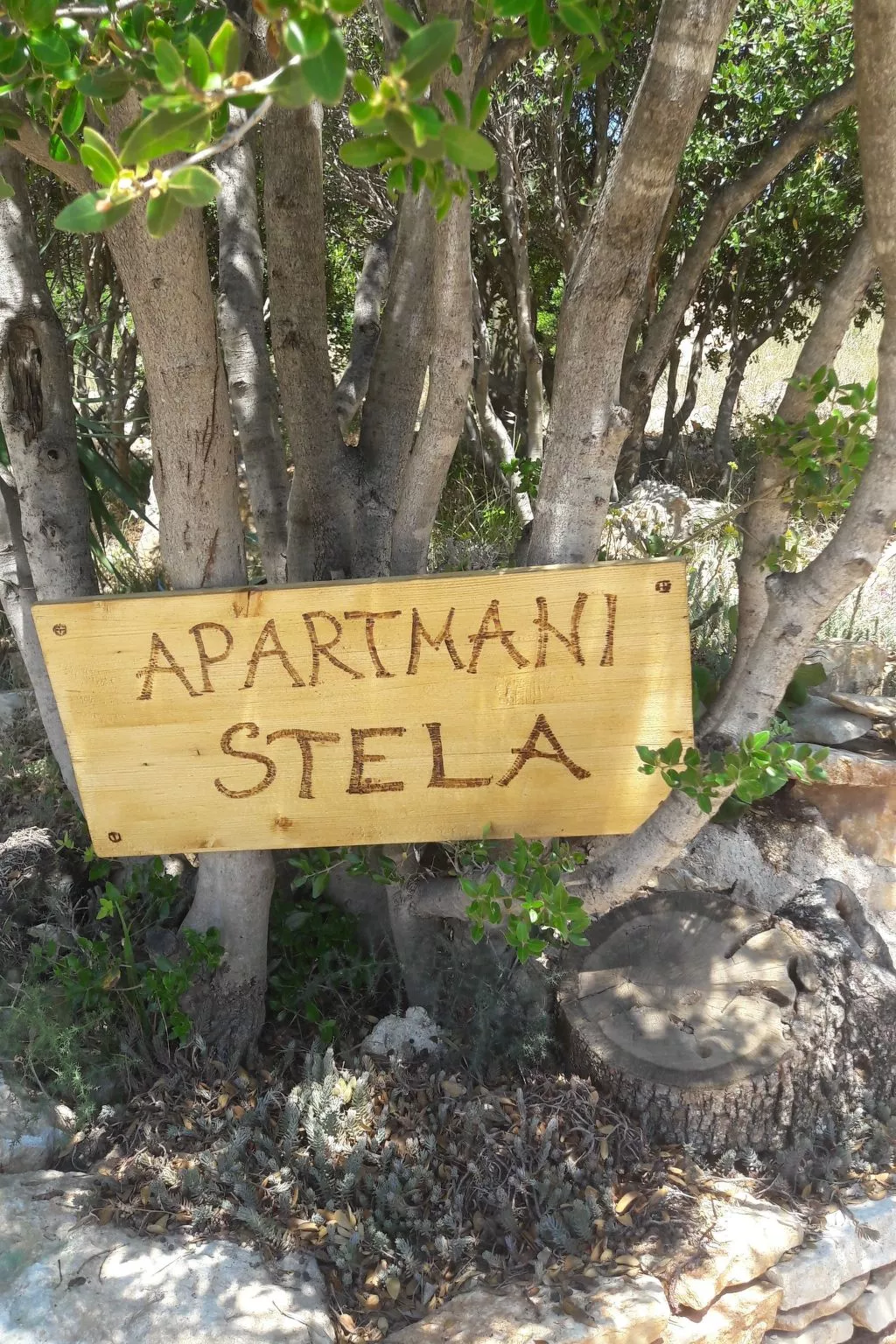 Neu erbautes Apartment mit großem Balkon-Dehors