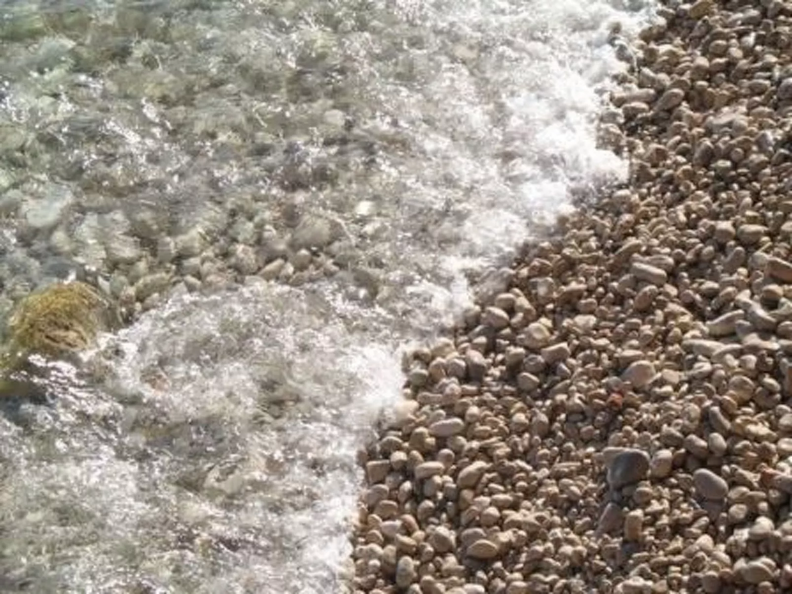 Wohnung in Zavala mit schönem Garten-Outside